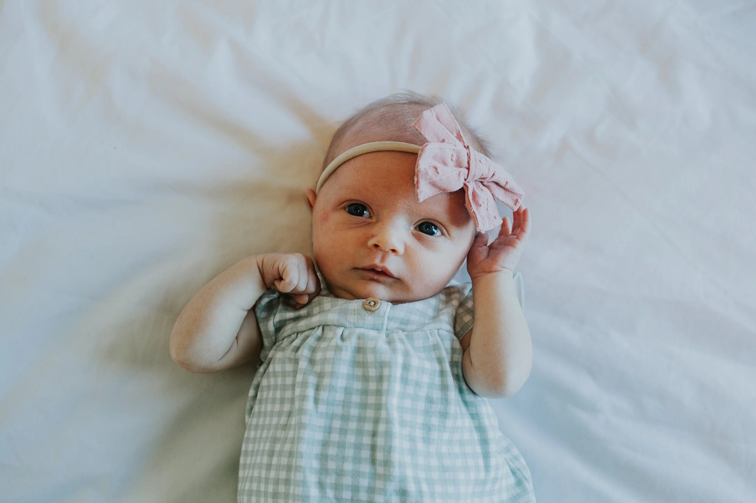 Elise Burgsma - Abbotsford Newborn Photographer