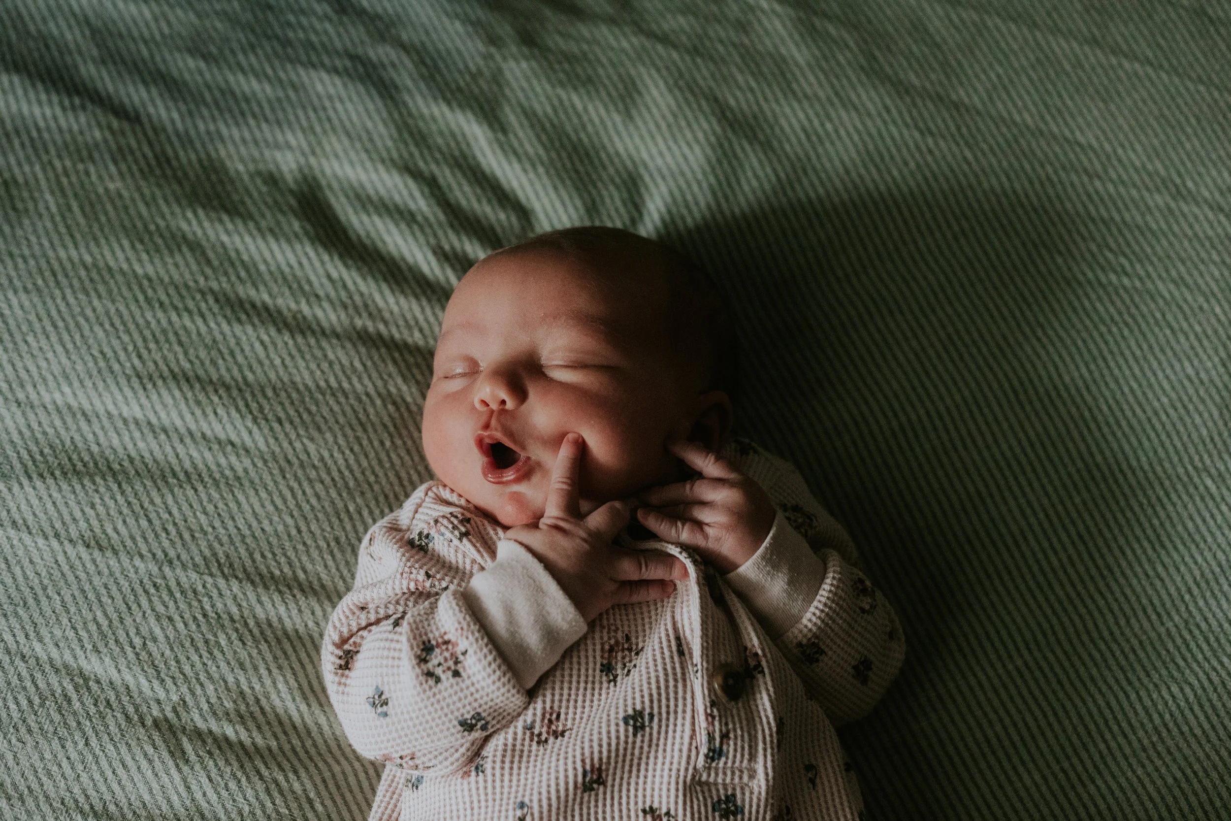 Sophia - Chilliwack Newborn Photographer