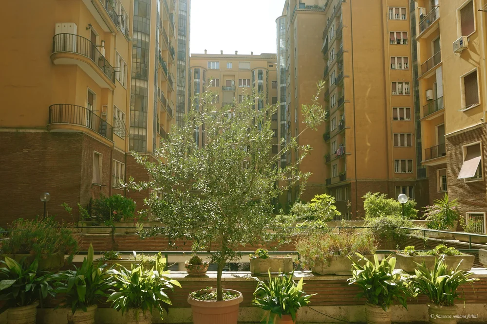  Palazzi Federici interior courtyard,&nbsp;Rome. 2019 