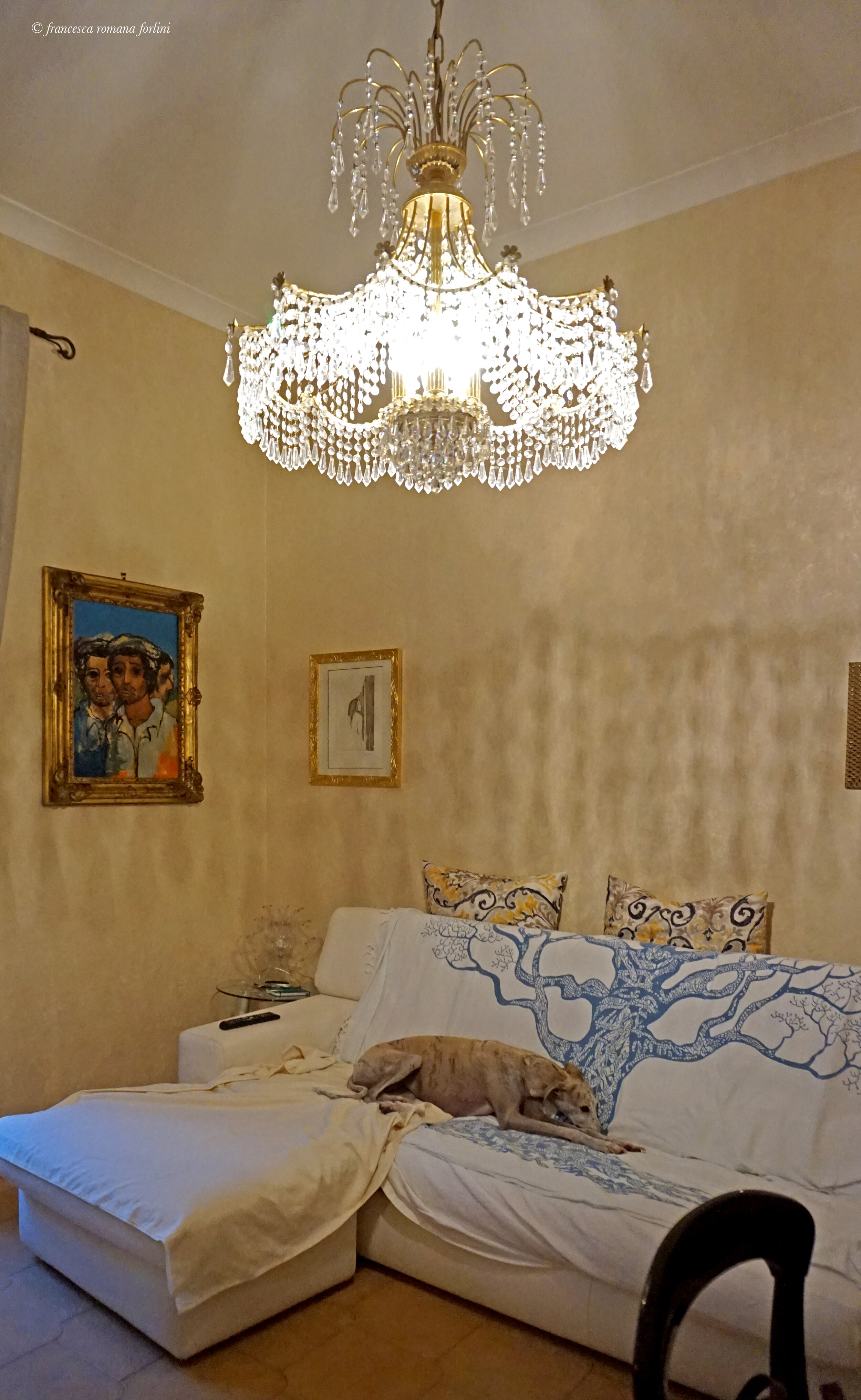  Salotto and a dog. Interior of an apartment in Via Metauro, Rome. 2019 