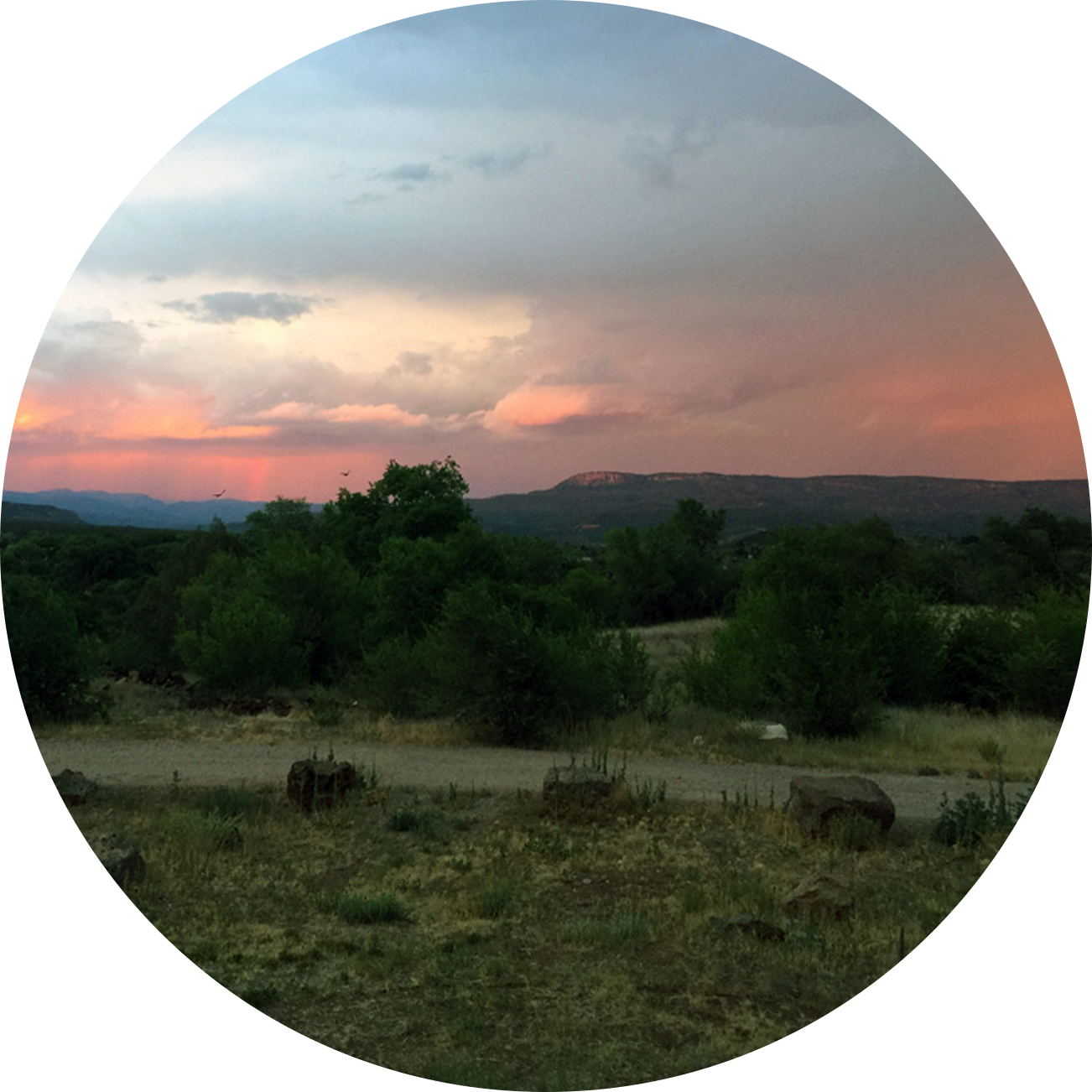 arizona.png