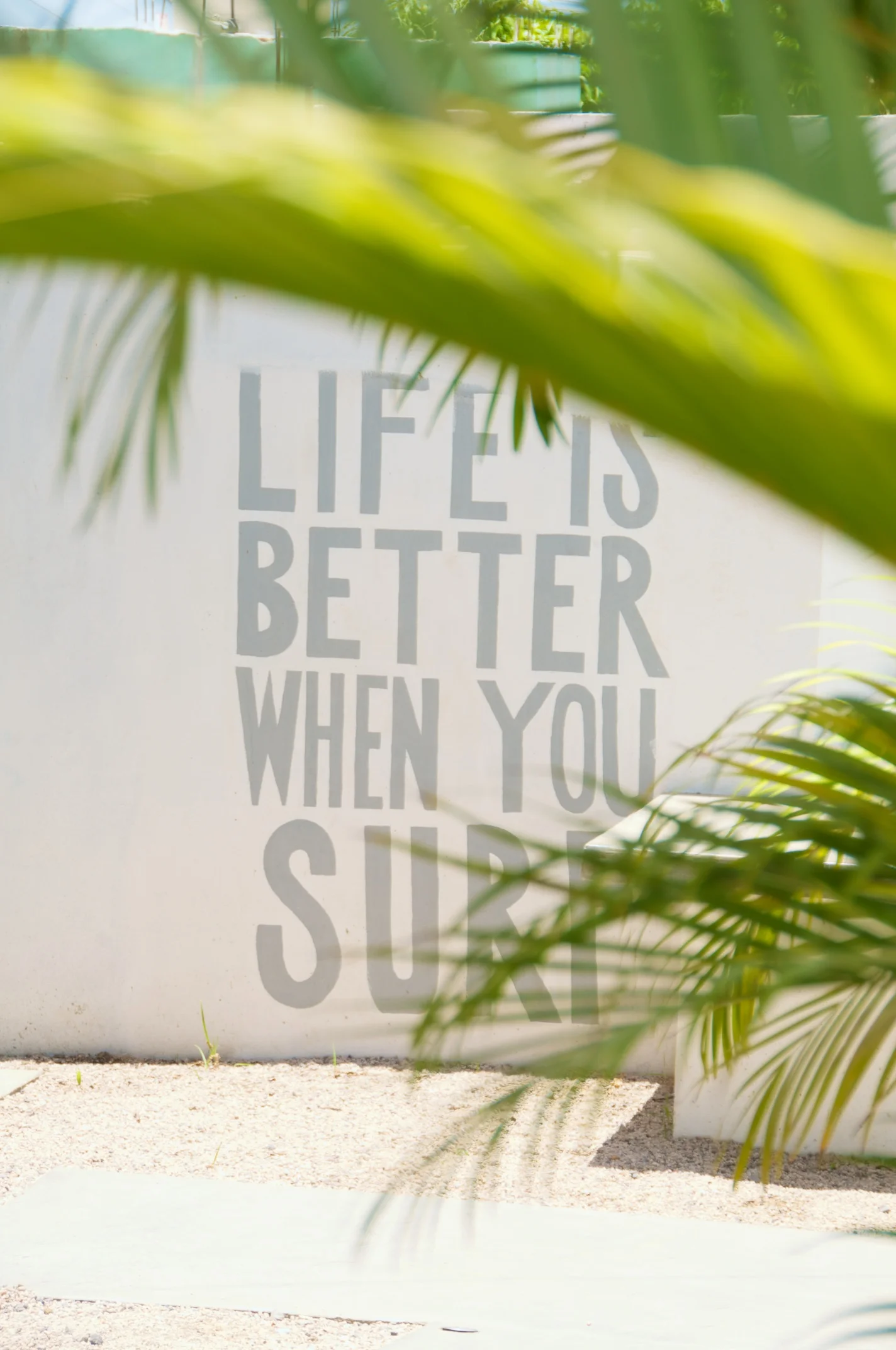 PerroSurferro_FirstDays_ 136.jpg