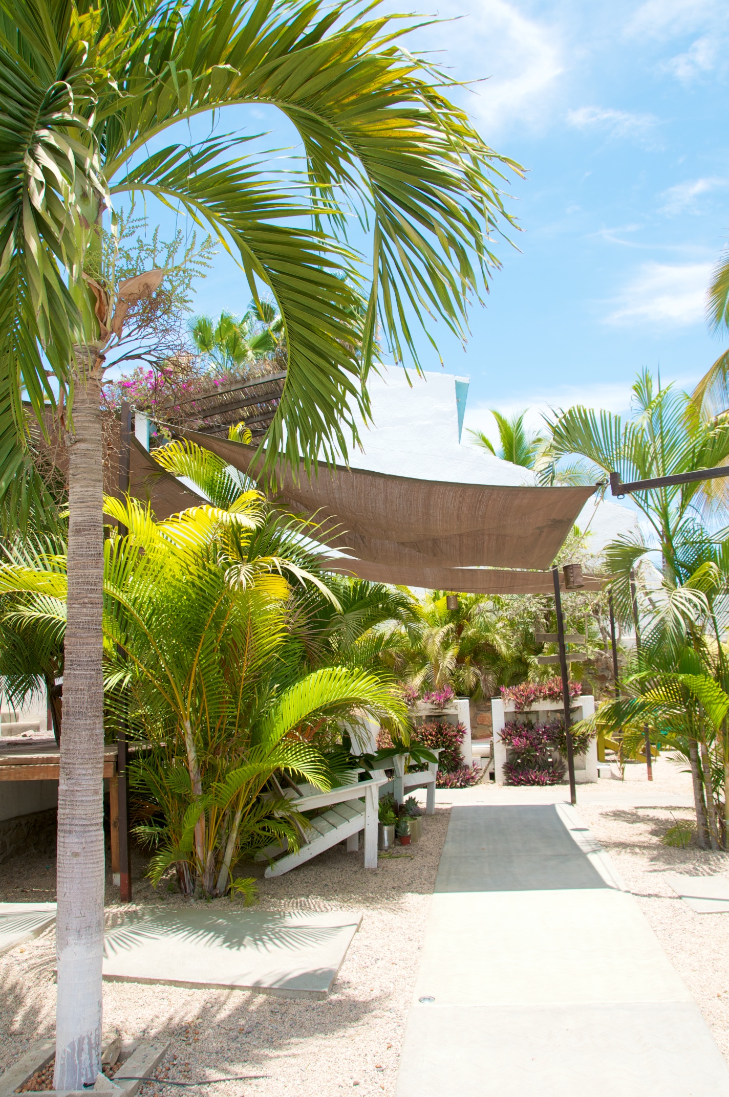 PerroSurferro_FirstDays_ 146.jpg