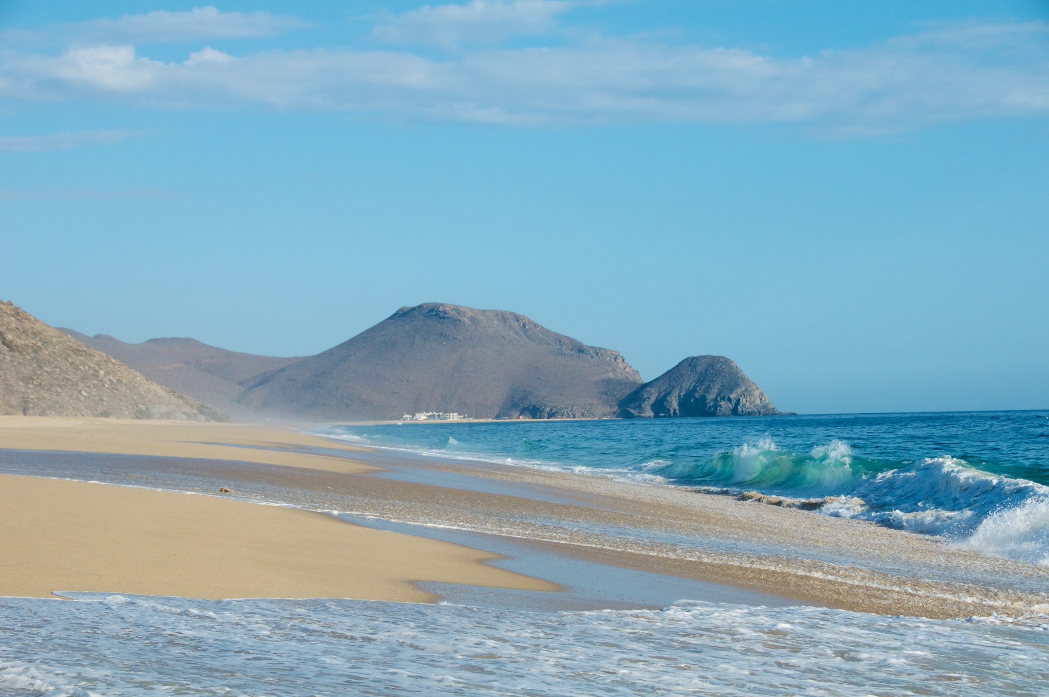 PerroSurferro_Days3 26.jpg