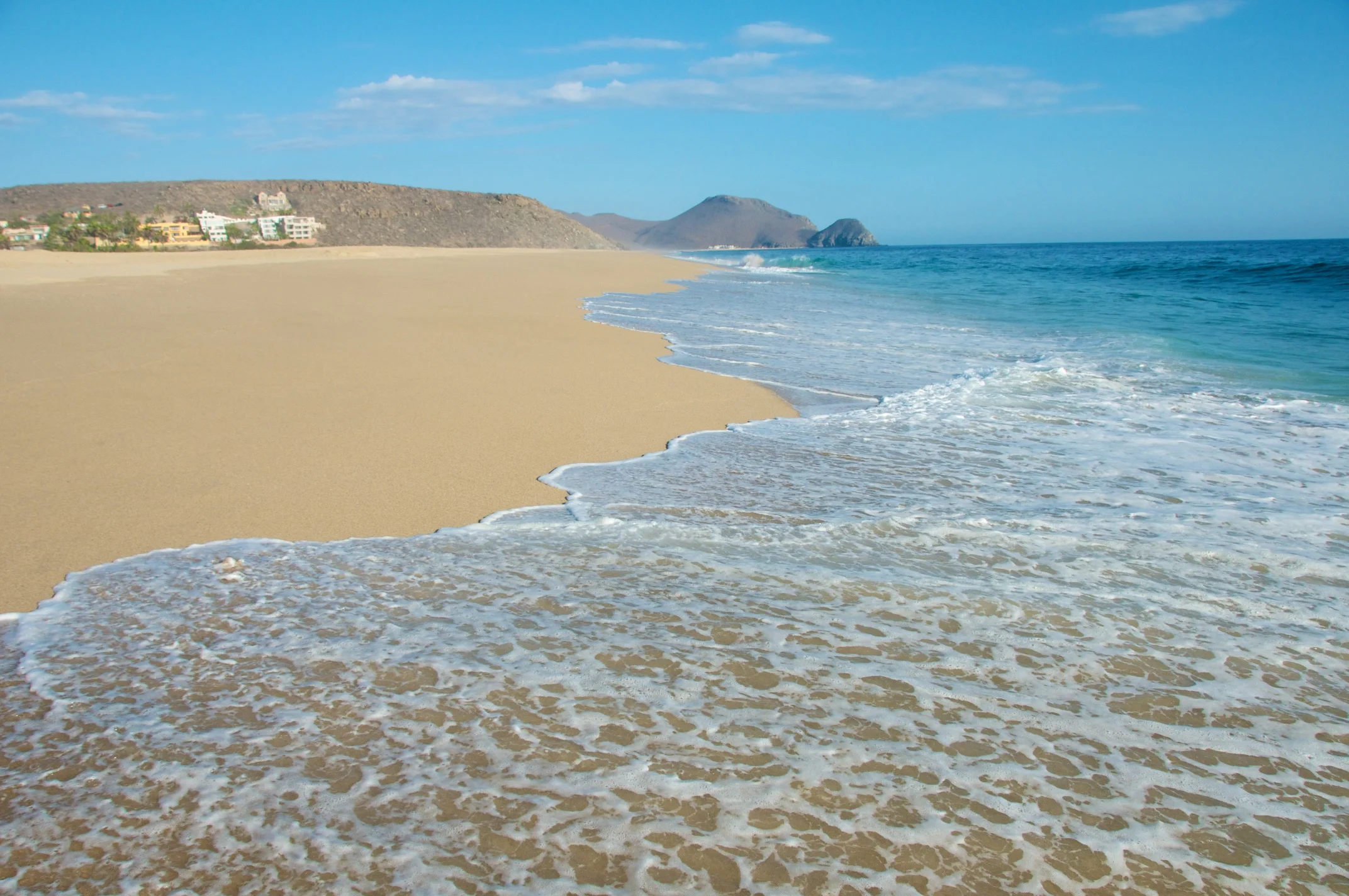 PerroSurferro_Days3 24.jpg