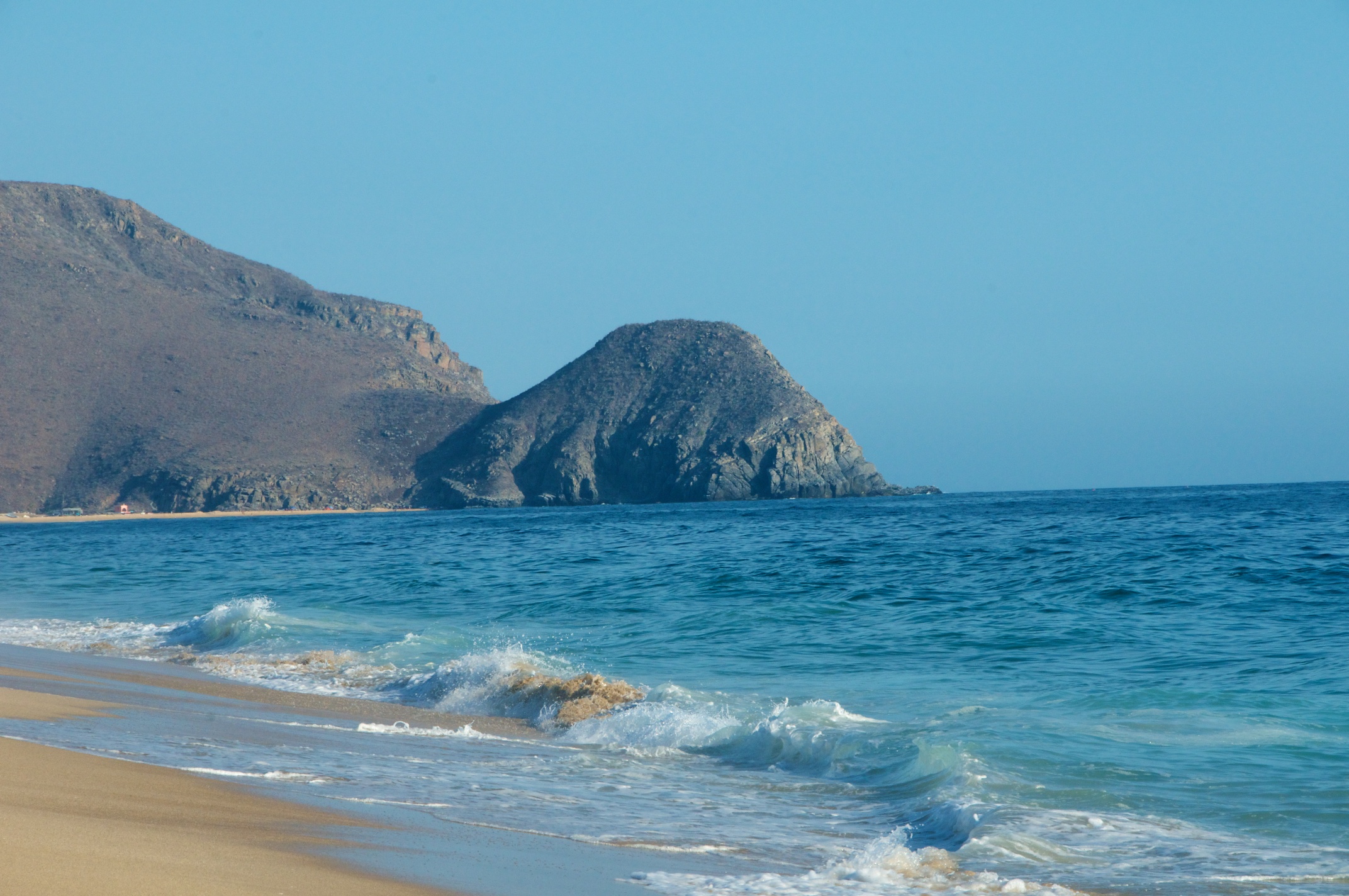 PerroSurferro_Days3 37.jpg