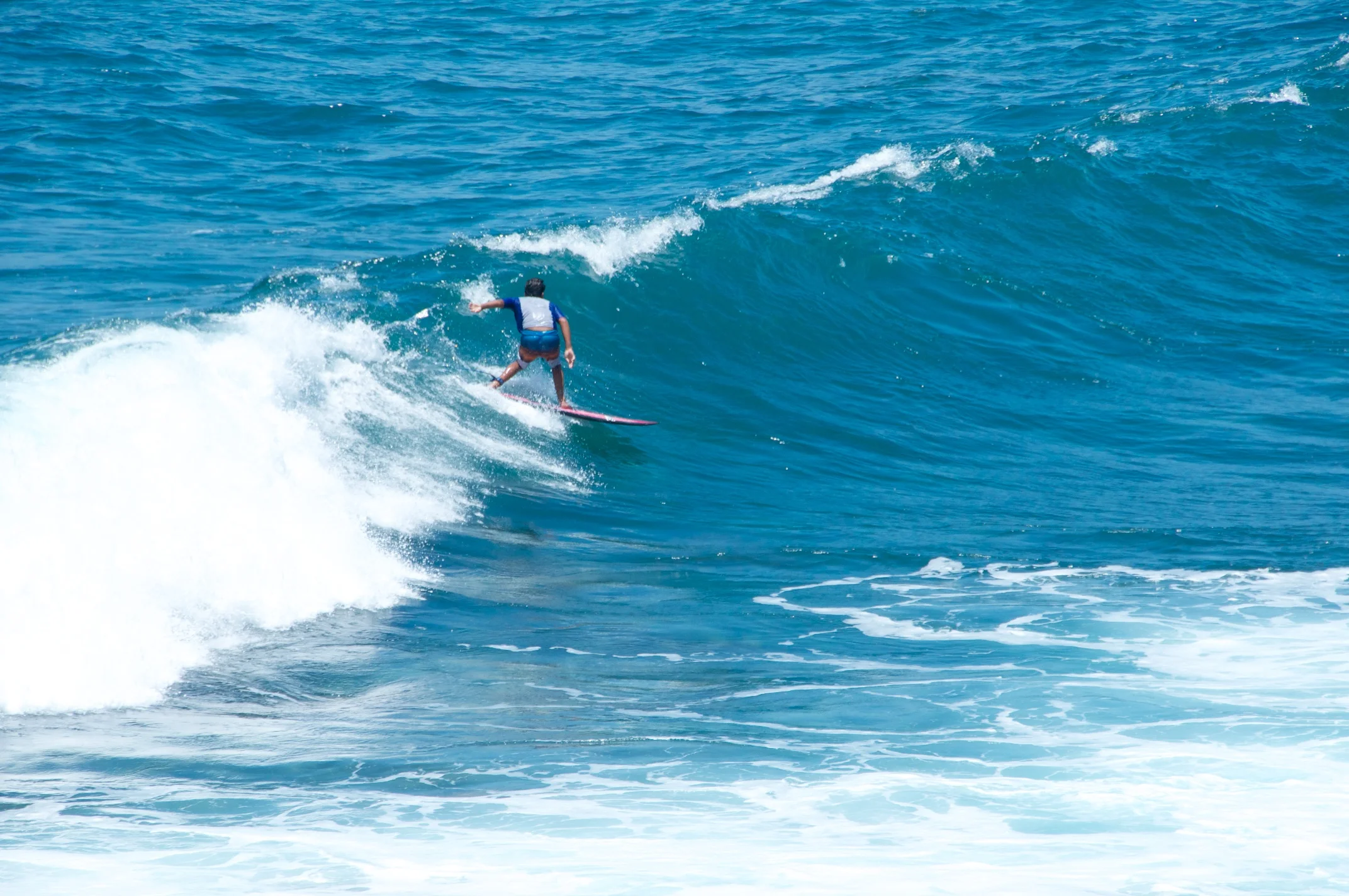 PerroSurferro_Days3 79.jpg