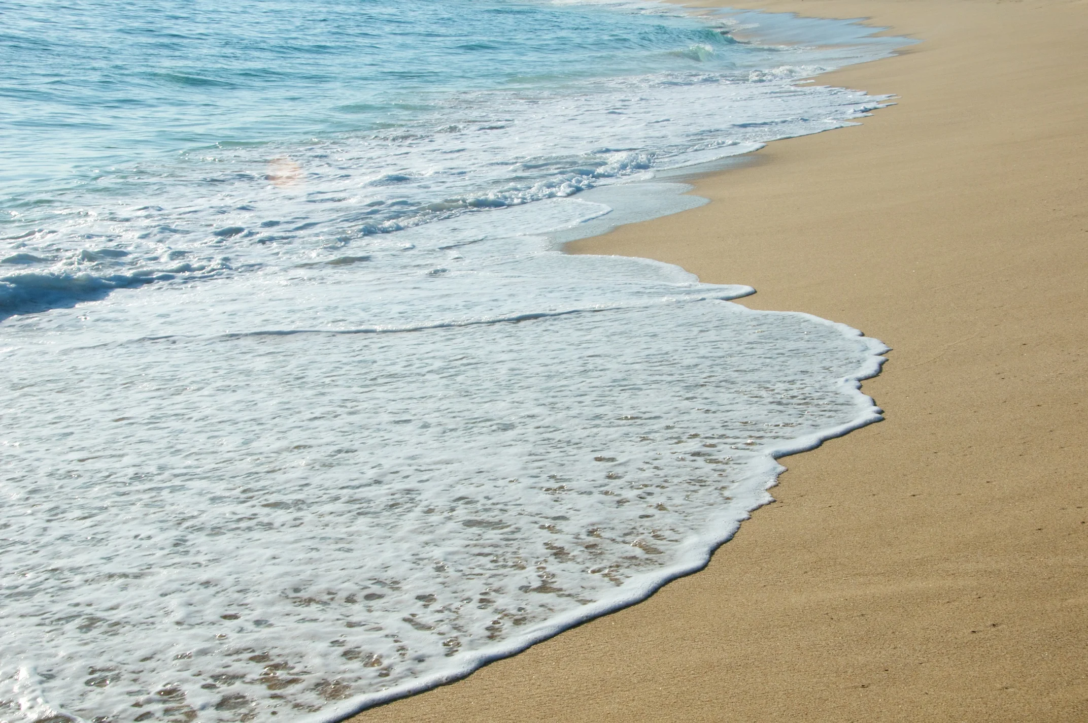 PerroSurferro_Days3 39.jpg