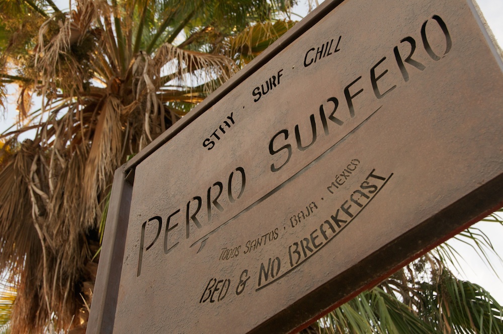 PerroSurferro_FirstDays_ 41.jpg