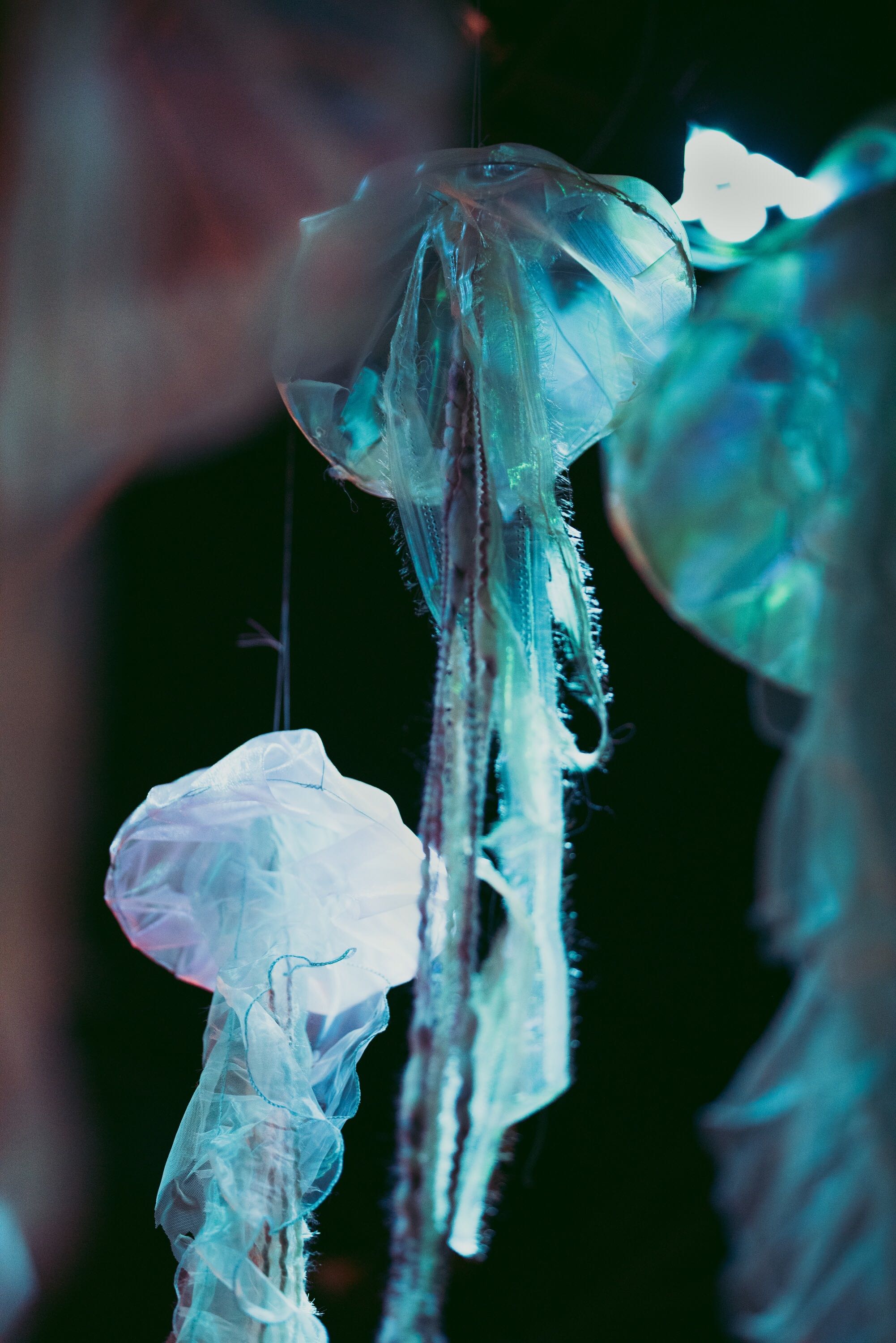 Image from iOS (9).jpg