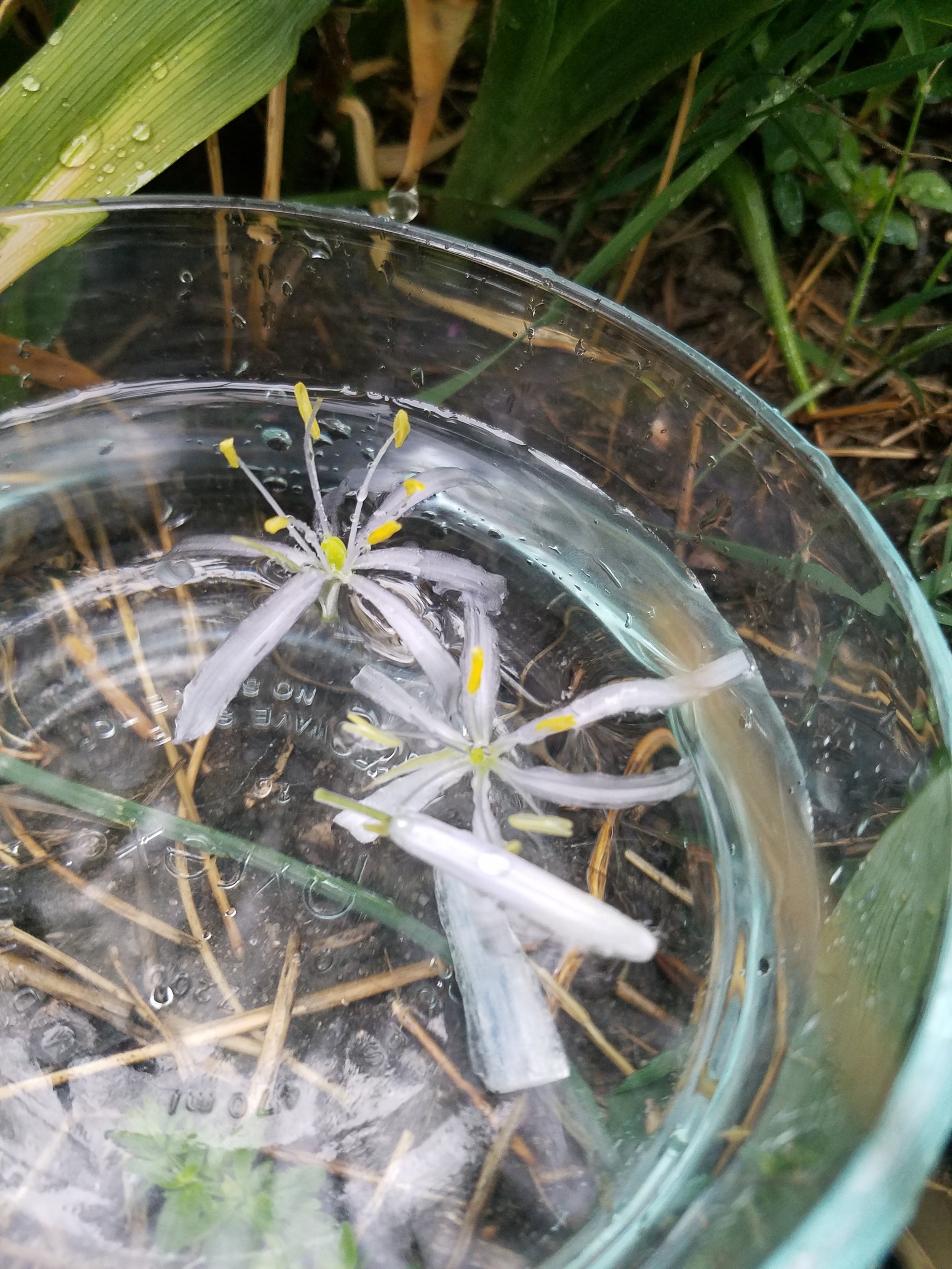 20180512_165439.jpg