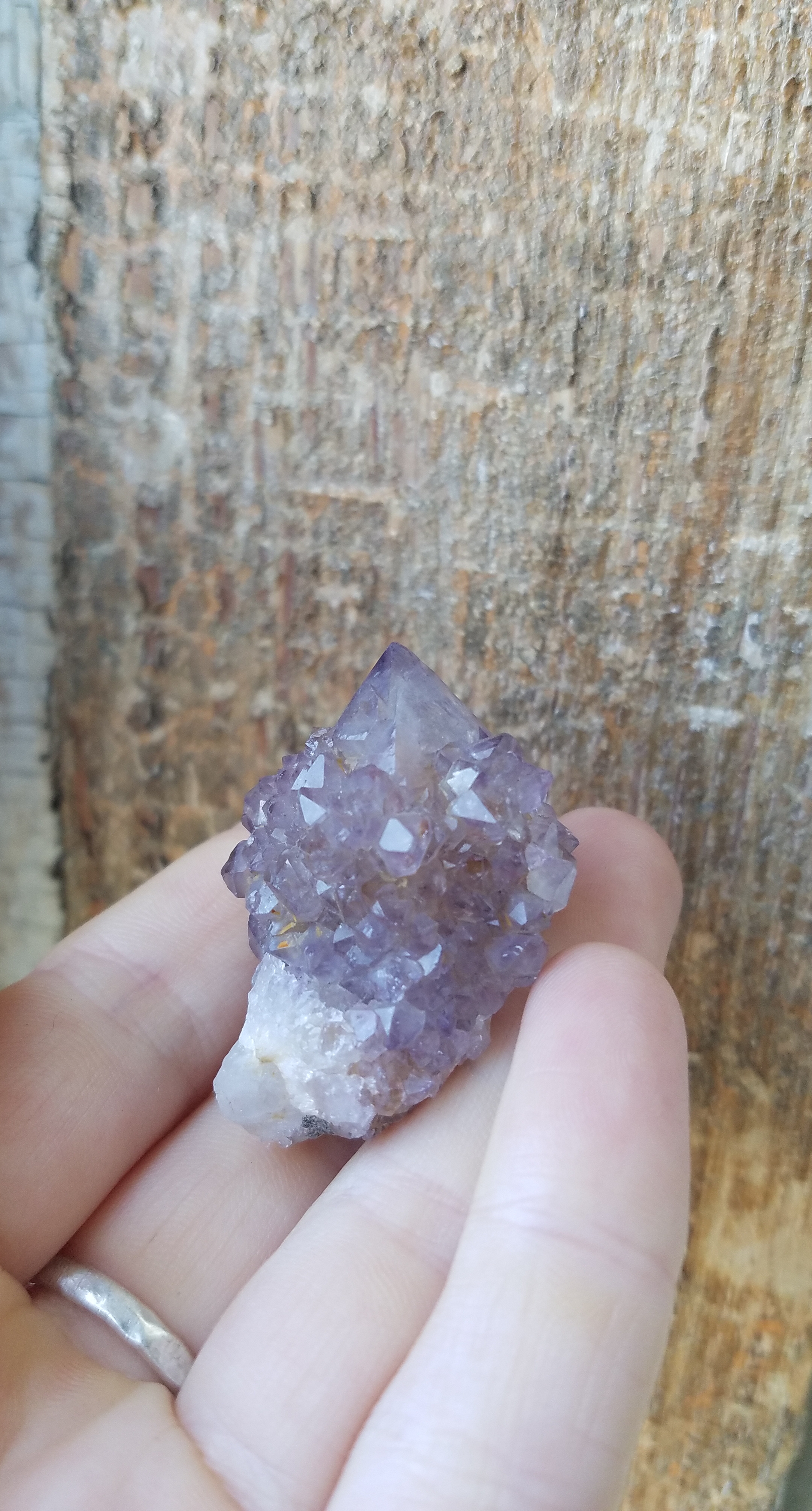20180521_123516.jpg