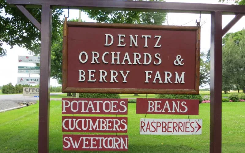 Dentz Orchard and Berry Farm