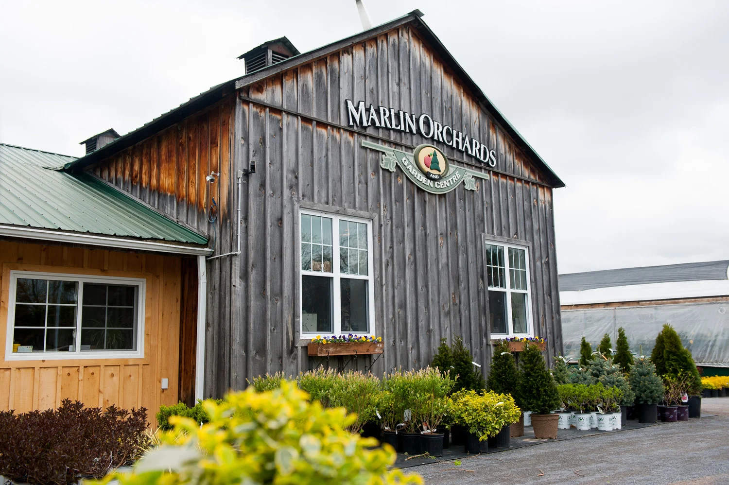 Marlin Orchards & Garden Centre