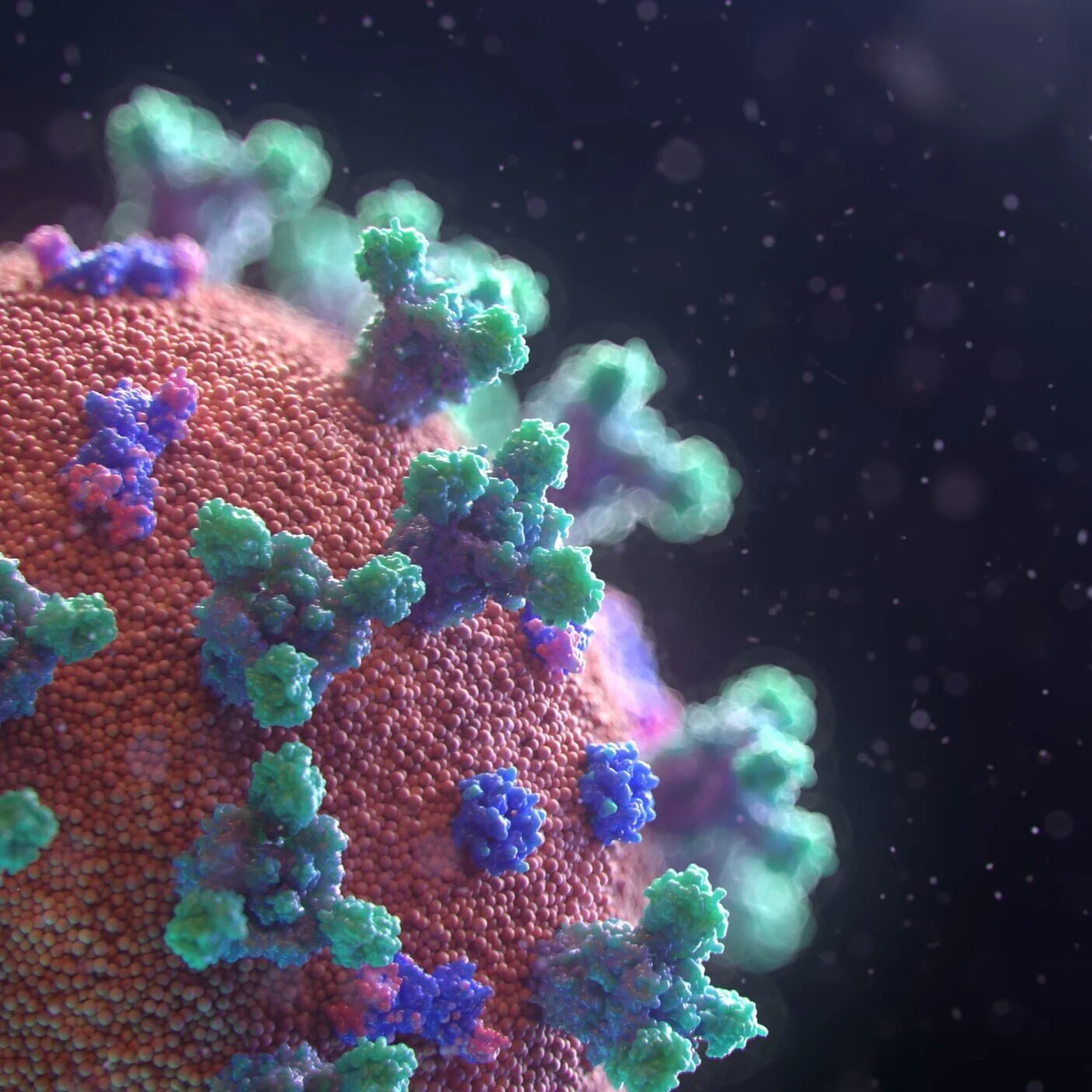LBX Coronavirus Update #3 - While We Track Down Rents, We Evaluate Today's Retail Landscape