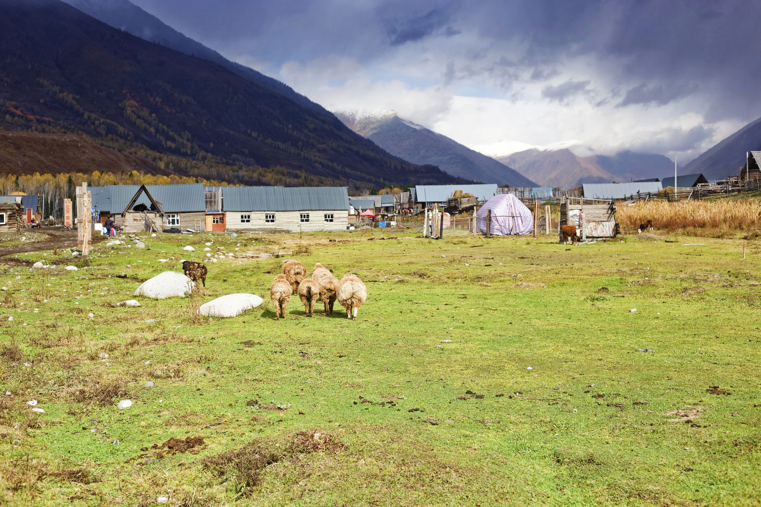 Charla de Merienda Presents: Food Security in the Americas