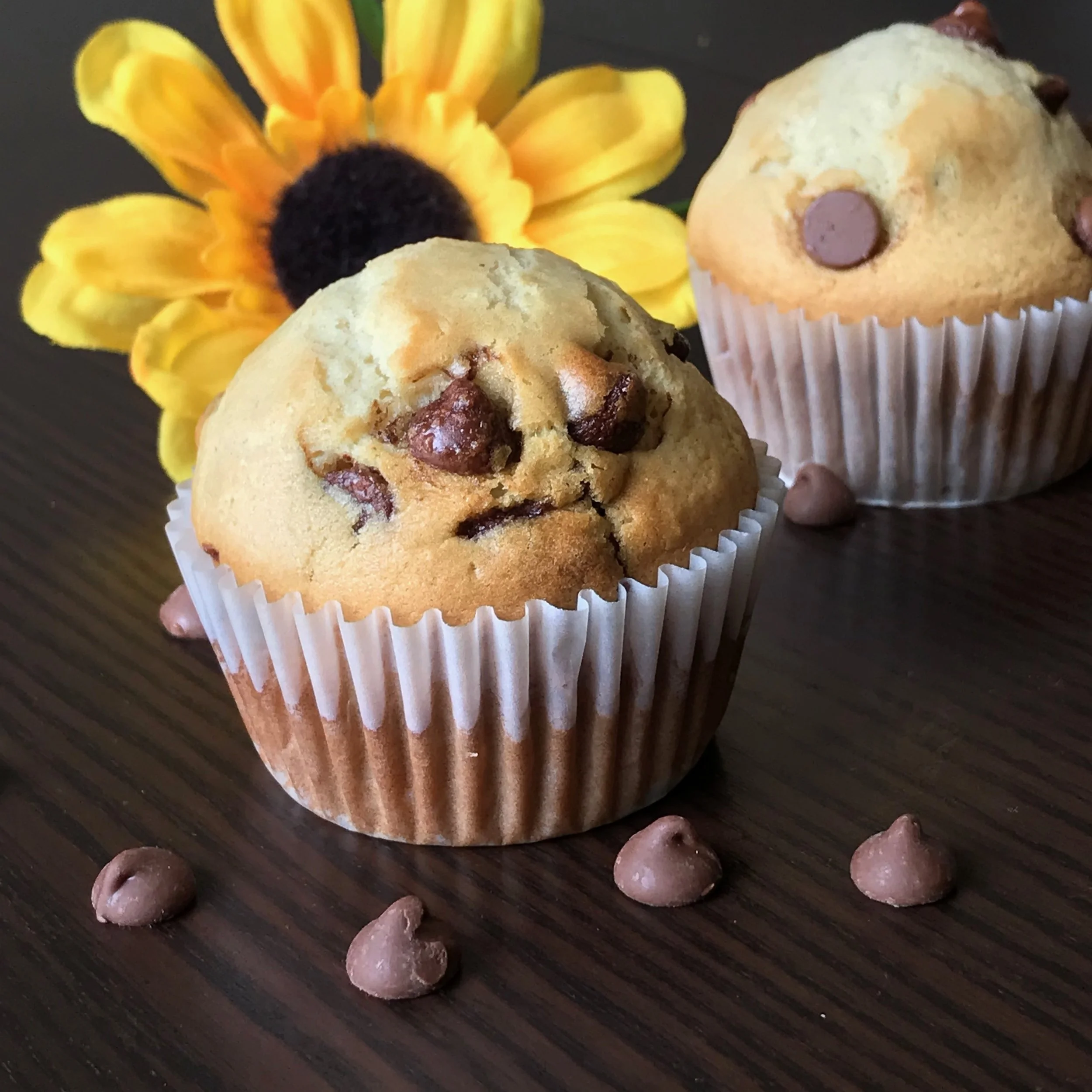 DJ's Super Delicious Chocolate Chip Muffins