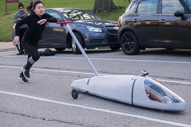 2014-15_SpringRolls8.jpg