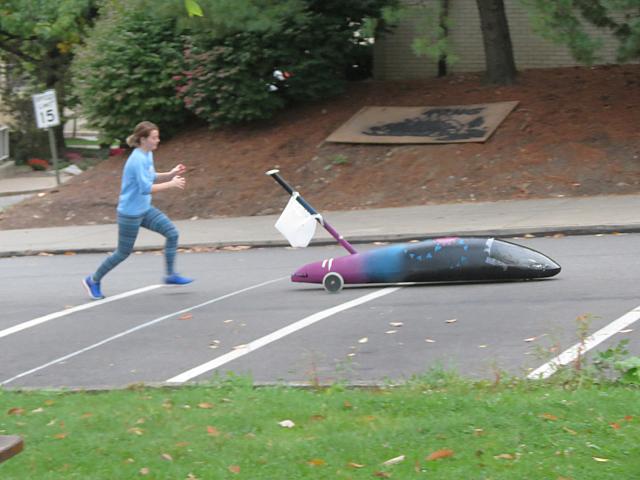 2016-17_FallRolls5.jpeg