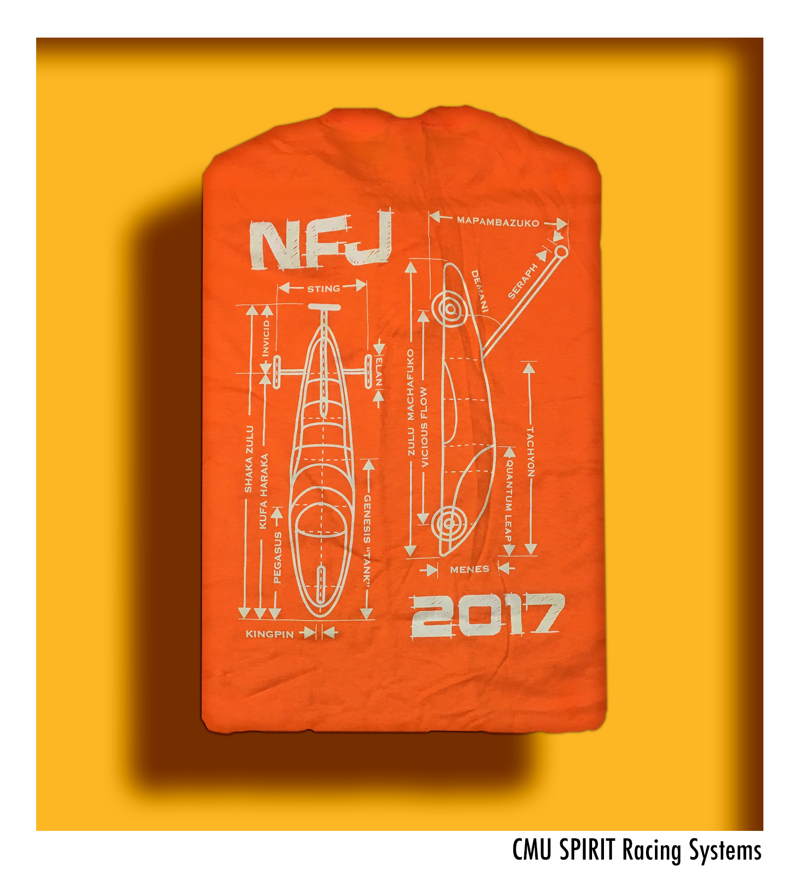 2017 Back