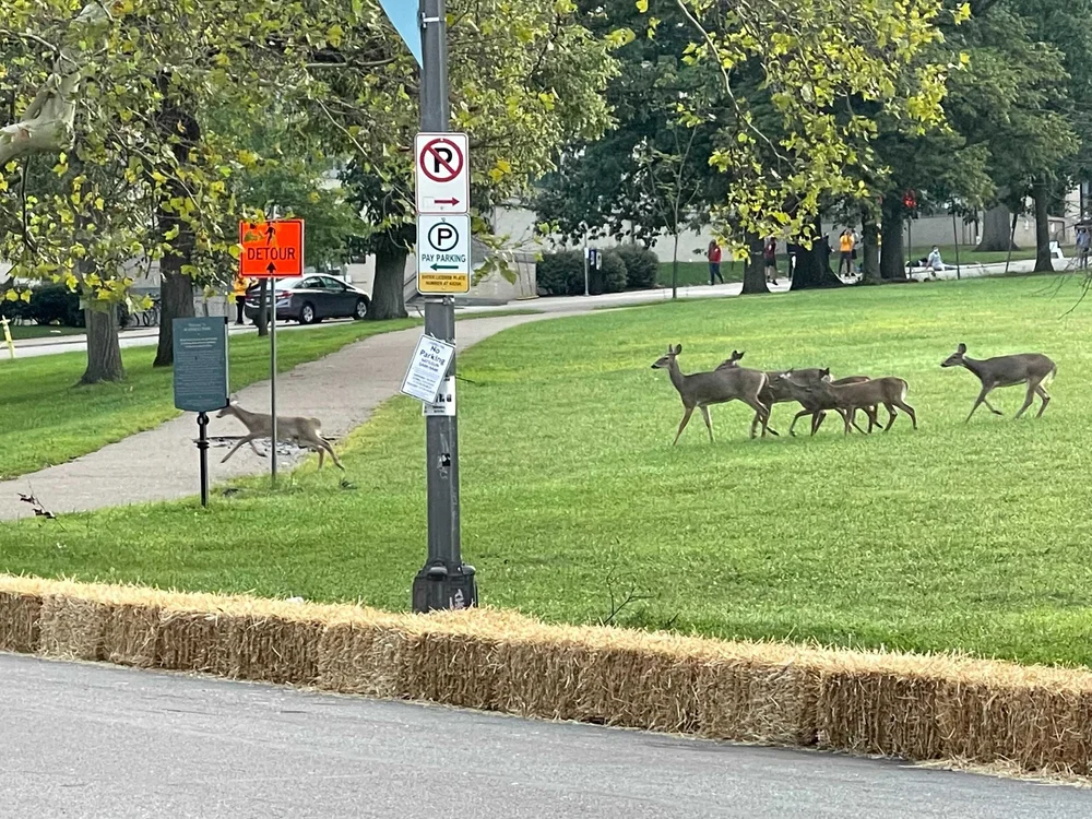 Image from iOS (2).jpg