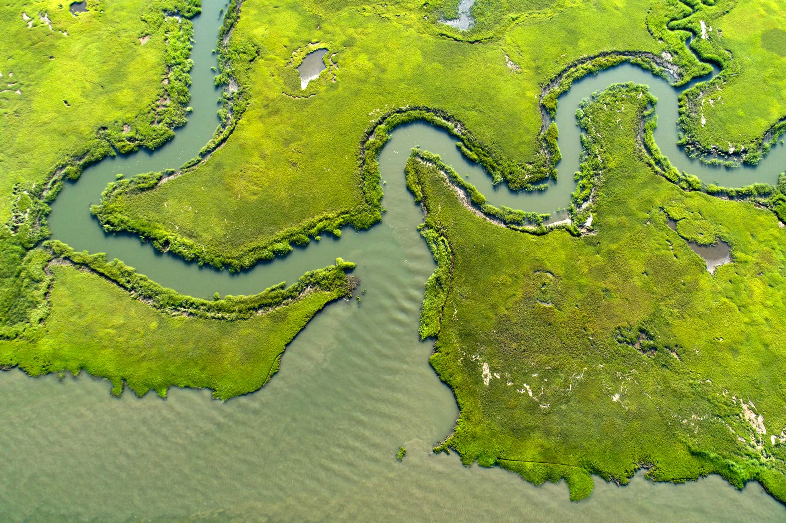 DJI_0081.jpg