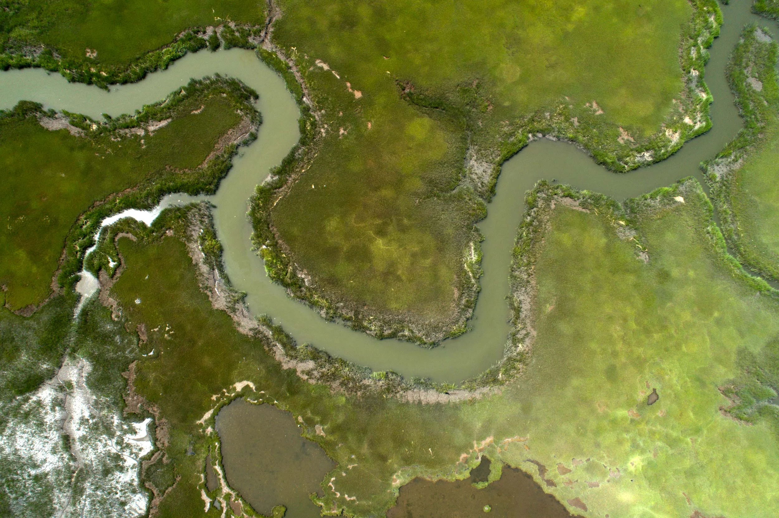 DJI_0166.jpg