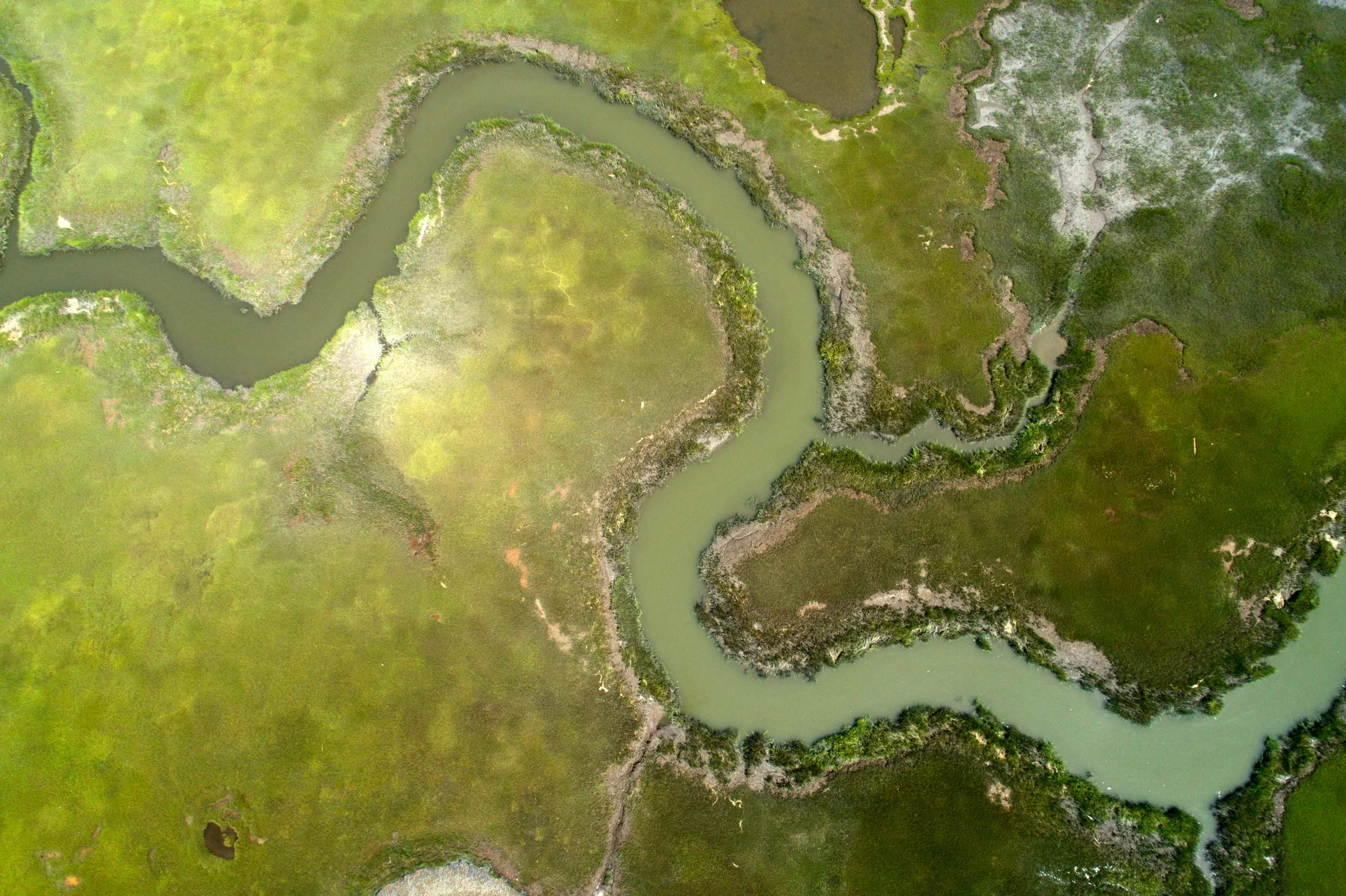 DJI_0167.jpg