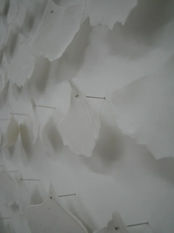 Enduring (detail)