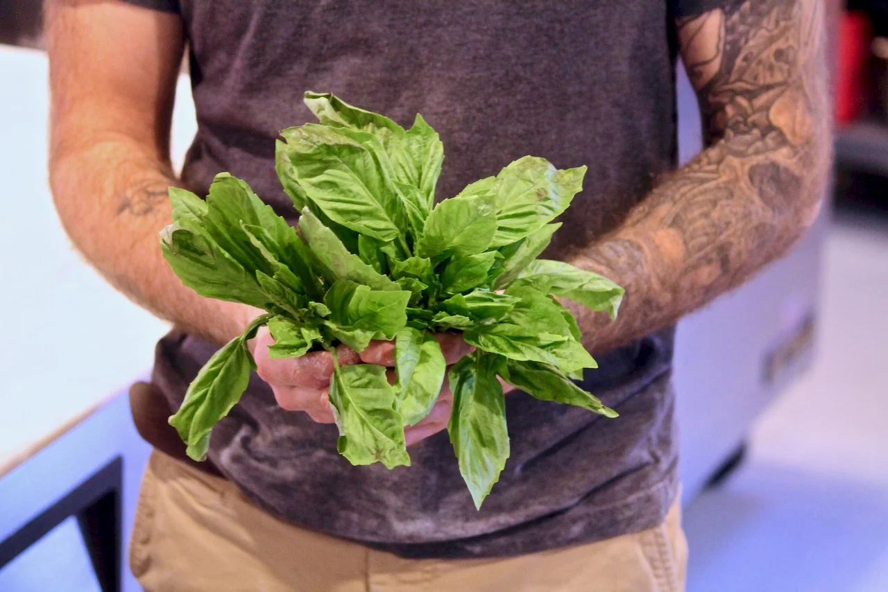 local ingredients.jpg