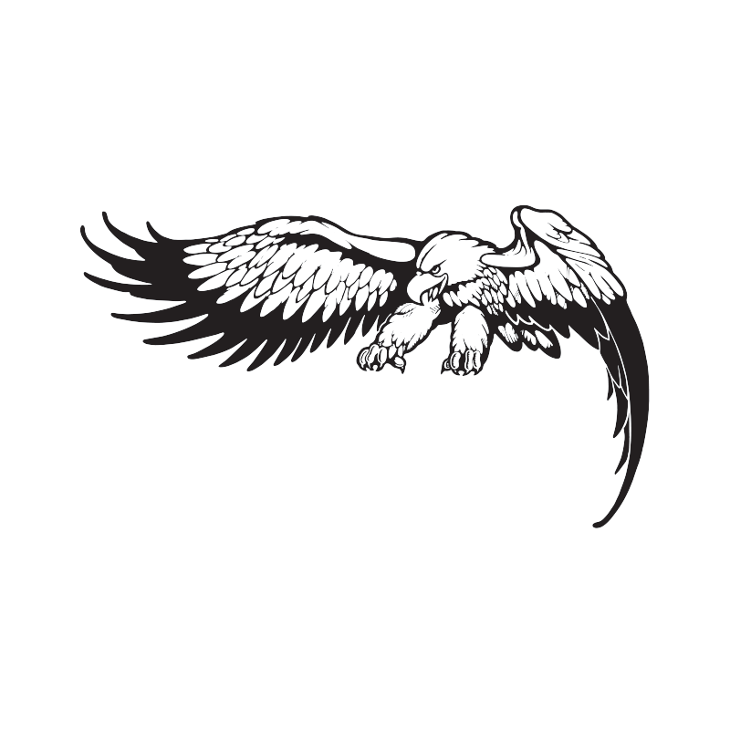 ernieBall_800x800.png