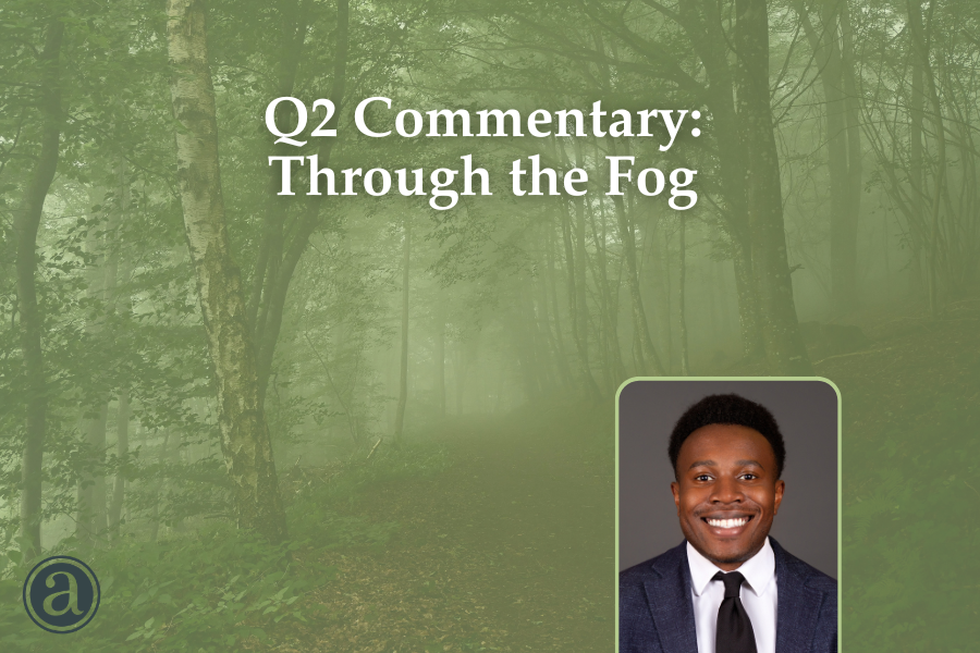Q2 Commentary: Through the Fog