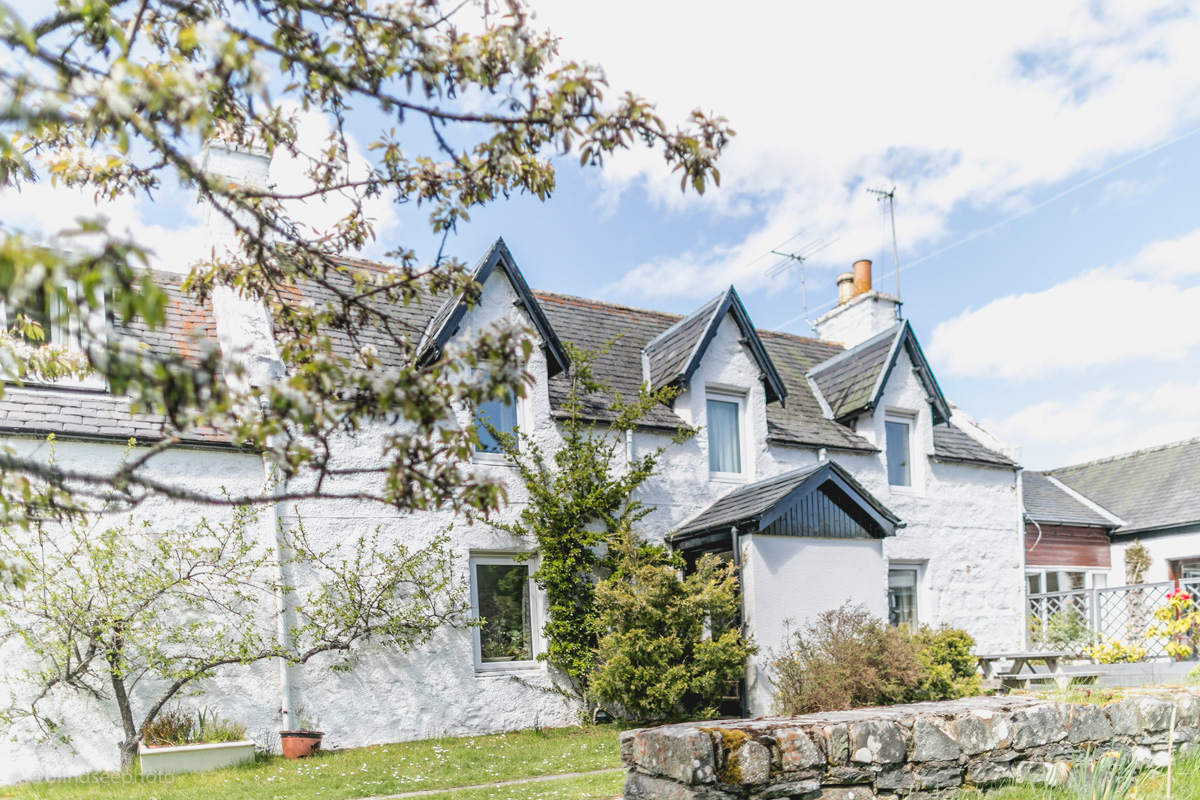 Soillerie House - front of house through the cherry blossom