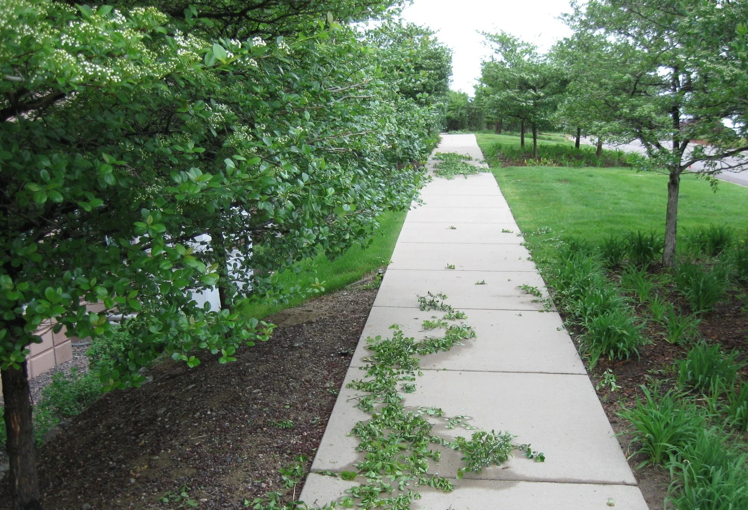 Sidewalk Safety.jpg