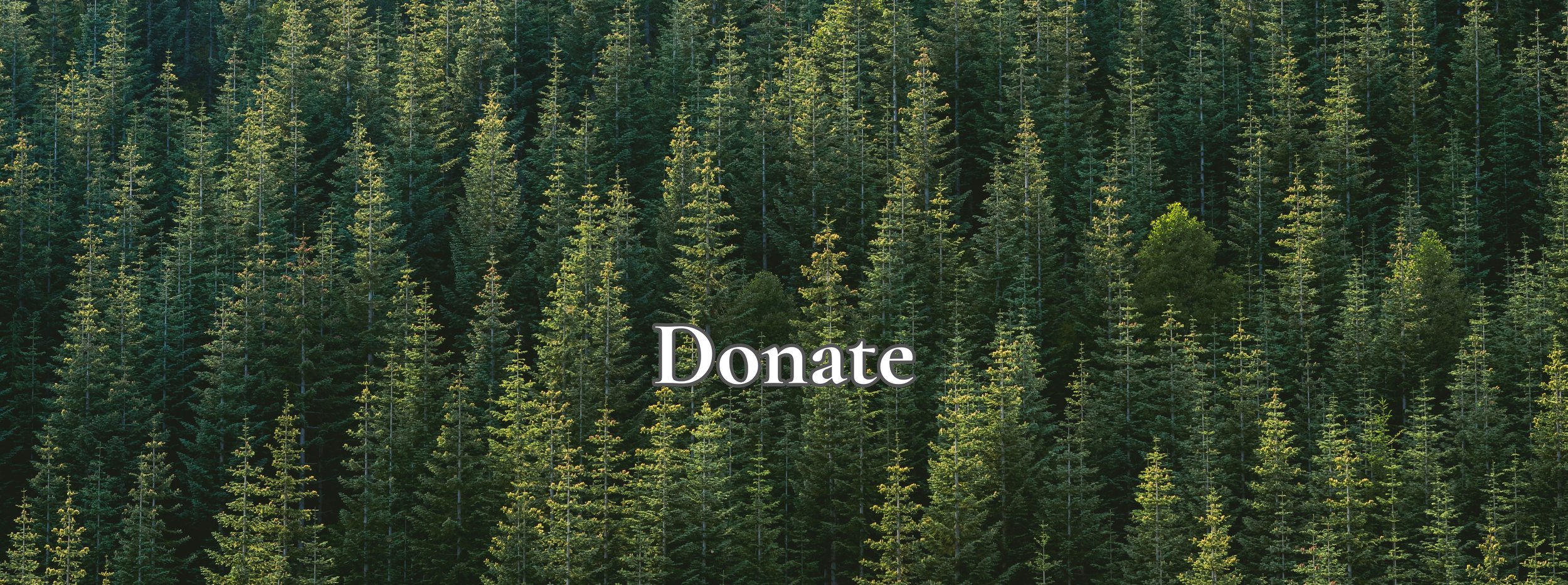 Donate2- website.jpg