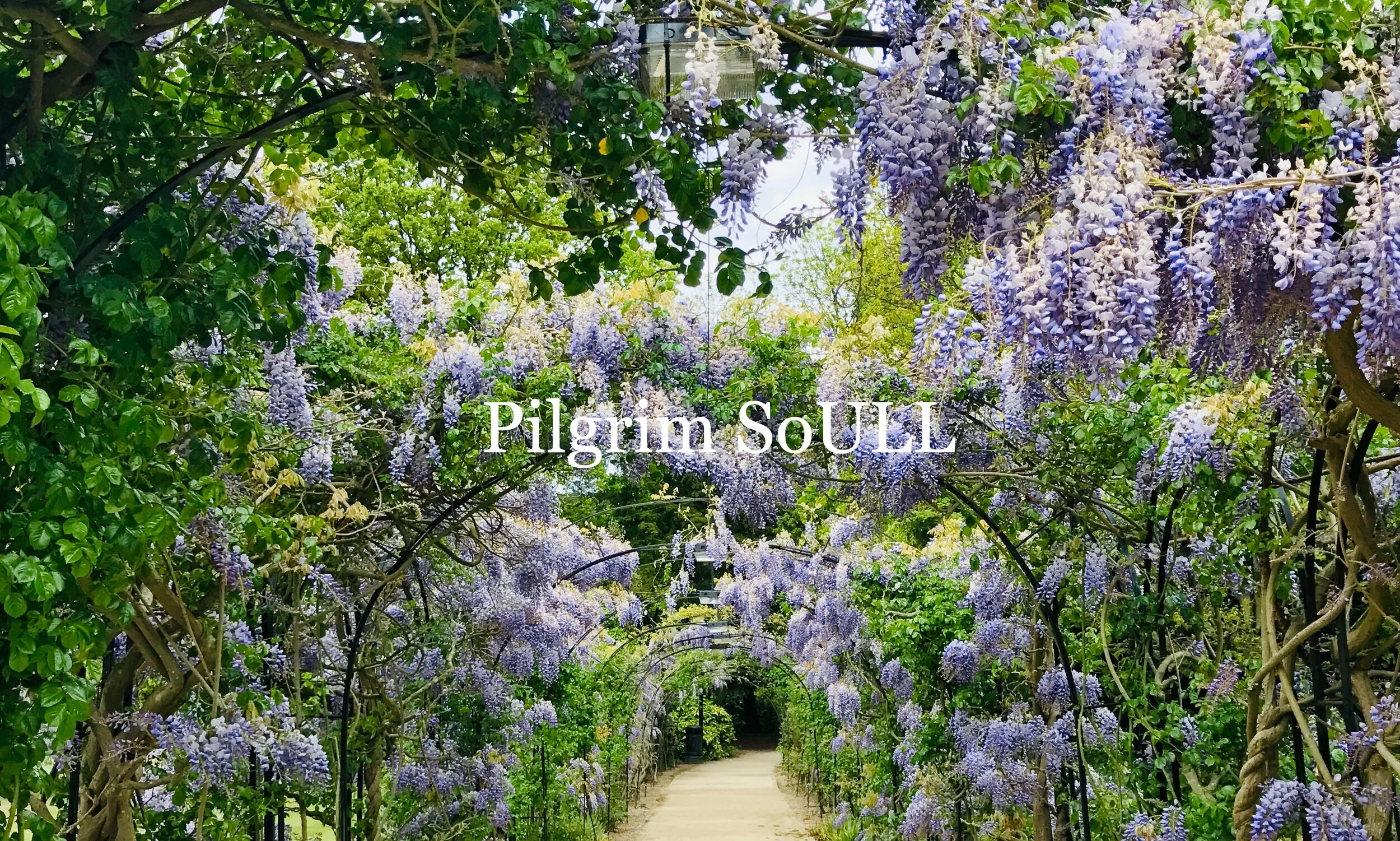 Pilgrim SoULL banner.jpg
