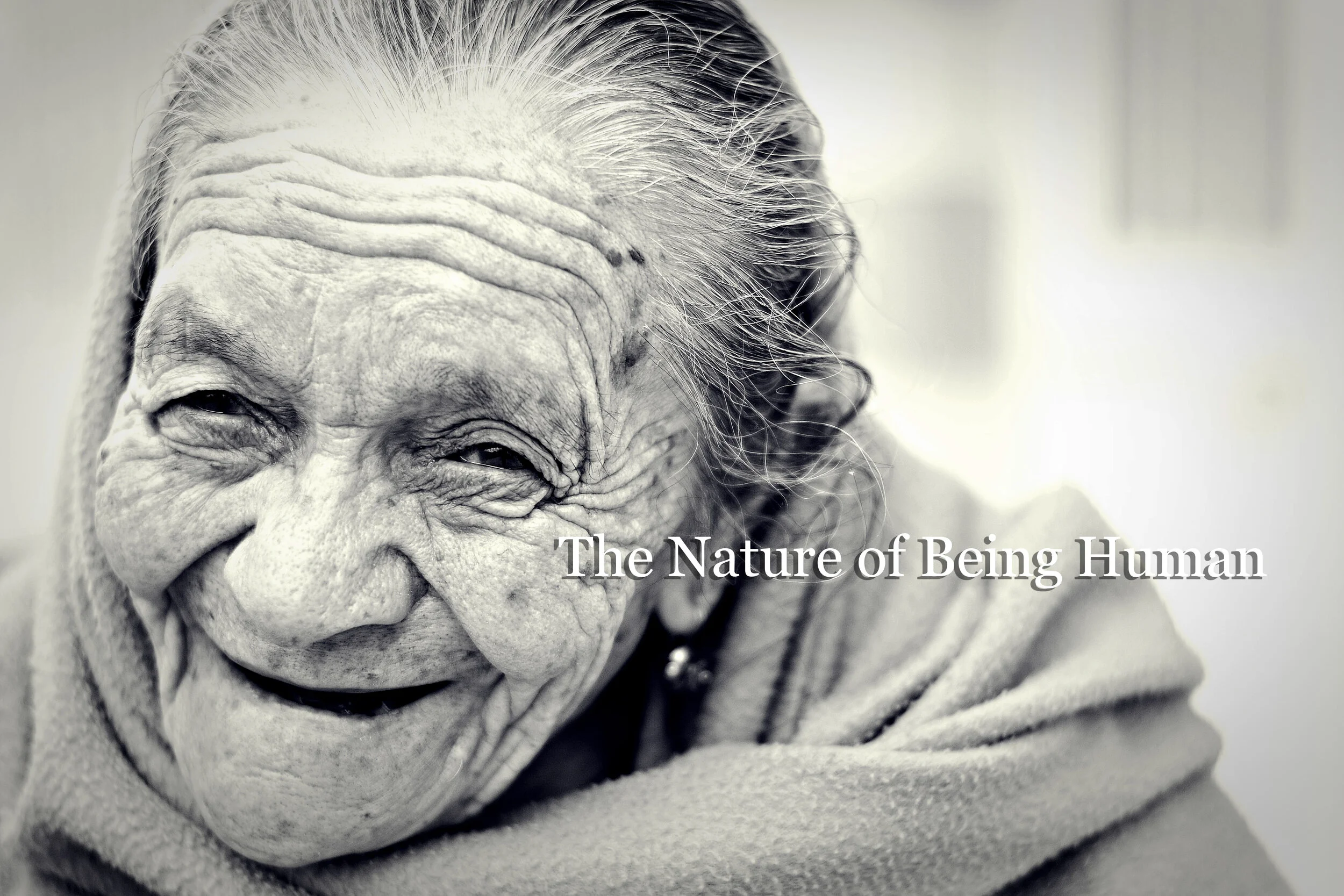 TNOBH banner drop shadow .jpg