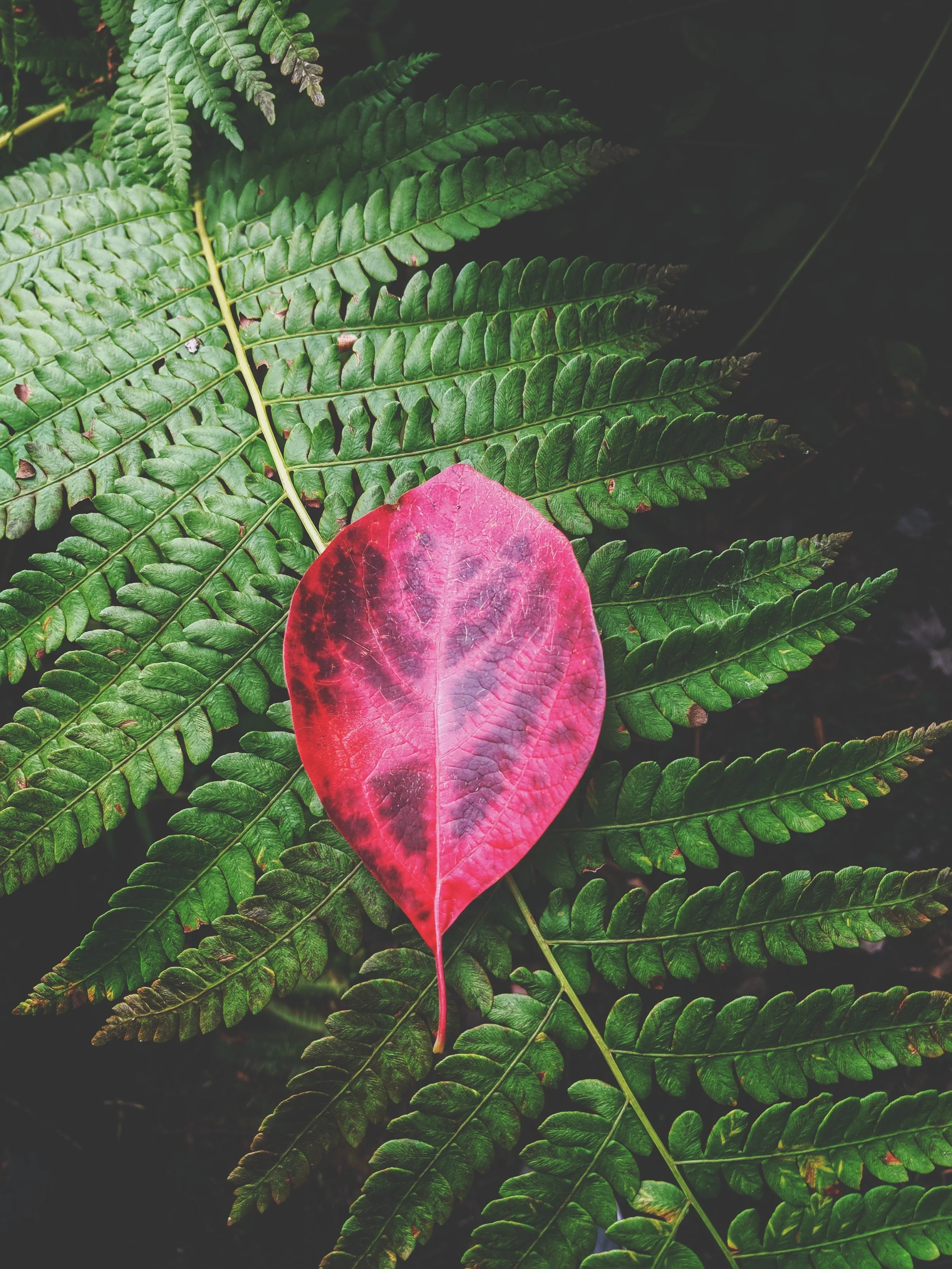 Making Space for Grief