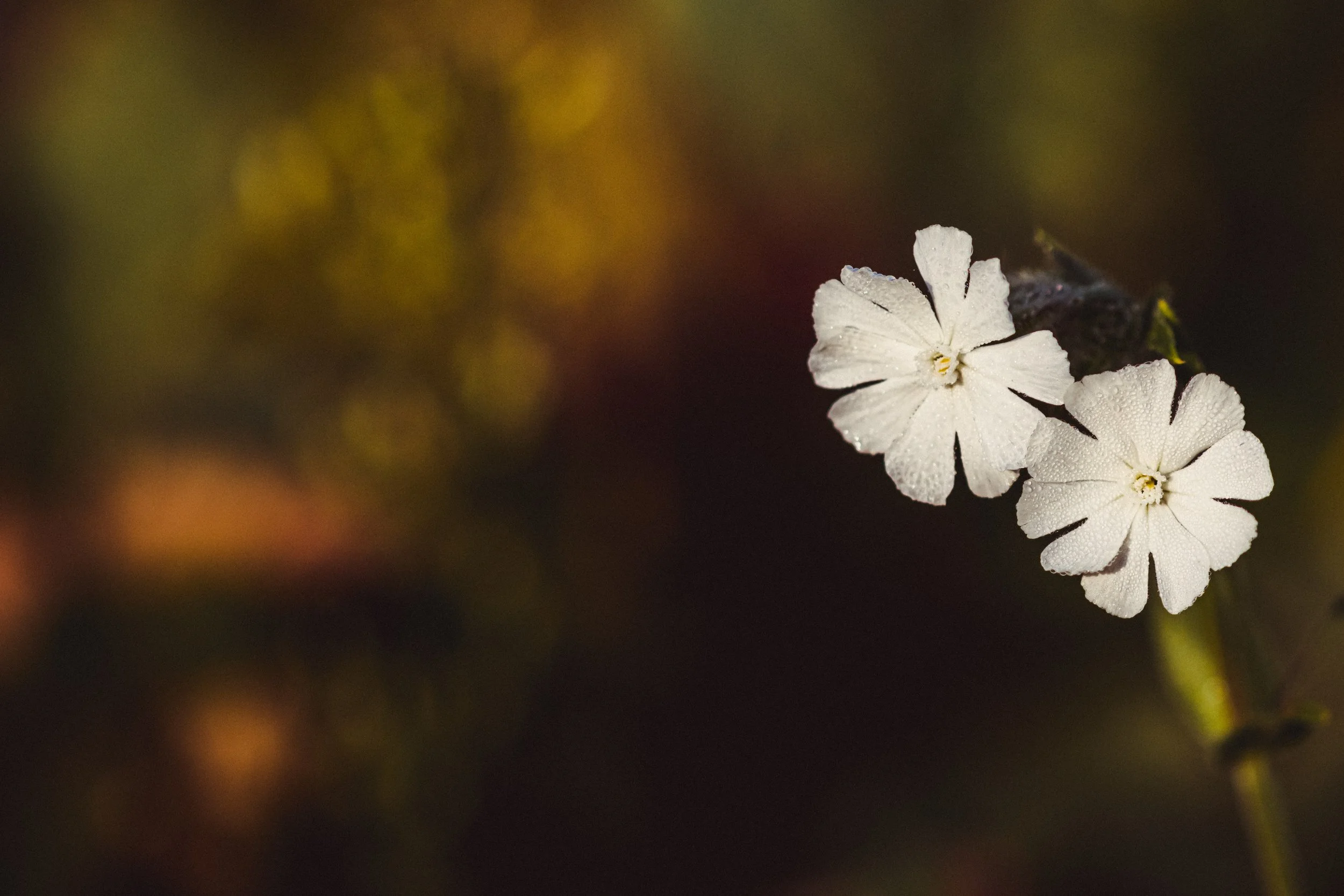 Part 4: Growing a Relationship