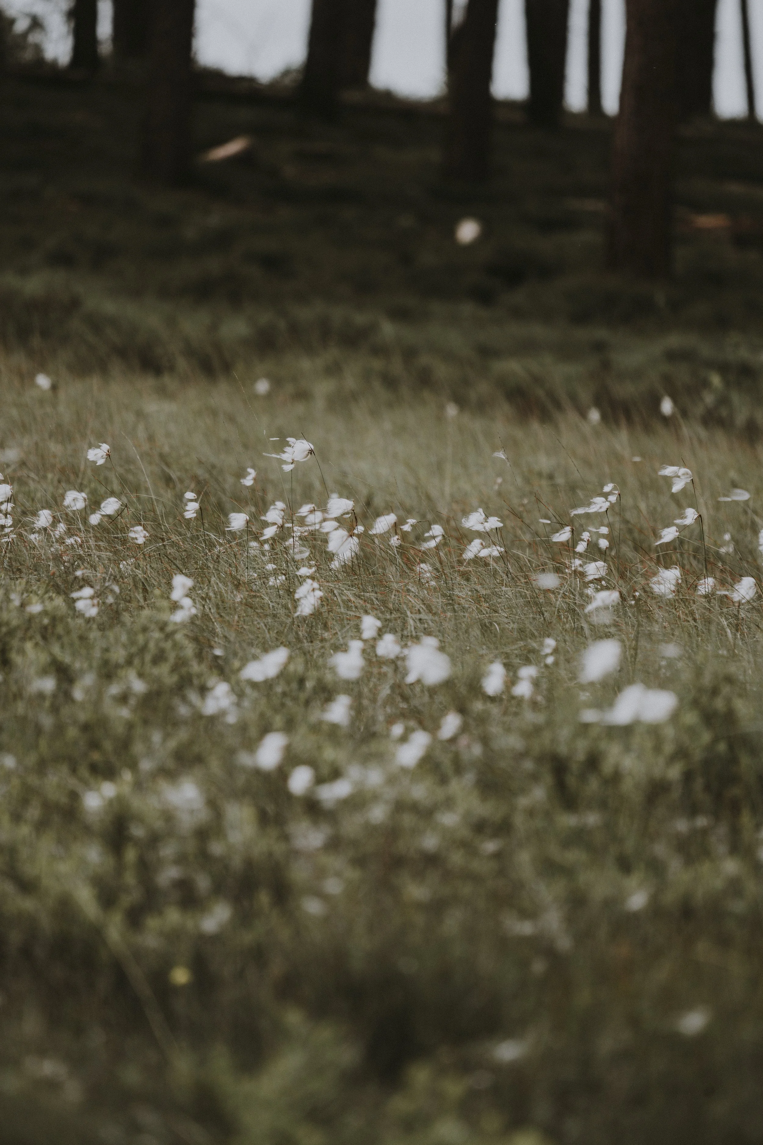 Part 5: The Breathing Relationship