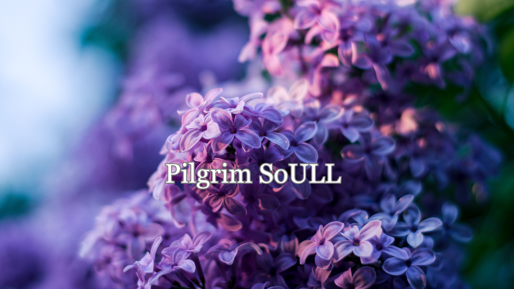 Pilgrim SoULL - Level 1