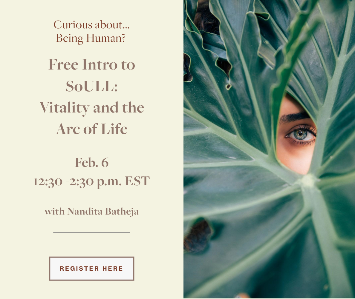 Free Intro to SoULL:  Vitality and the Arc of Life