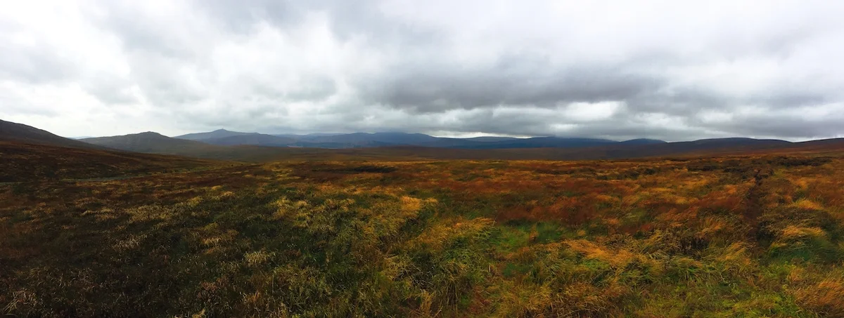 The open fields of wicklow mountains national park.