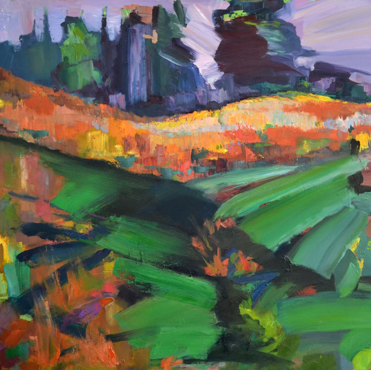 August Field