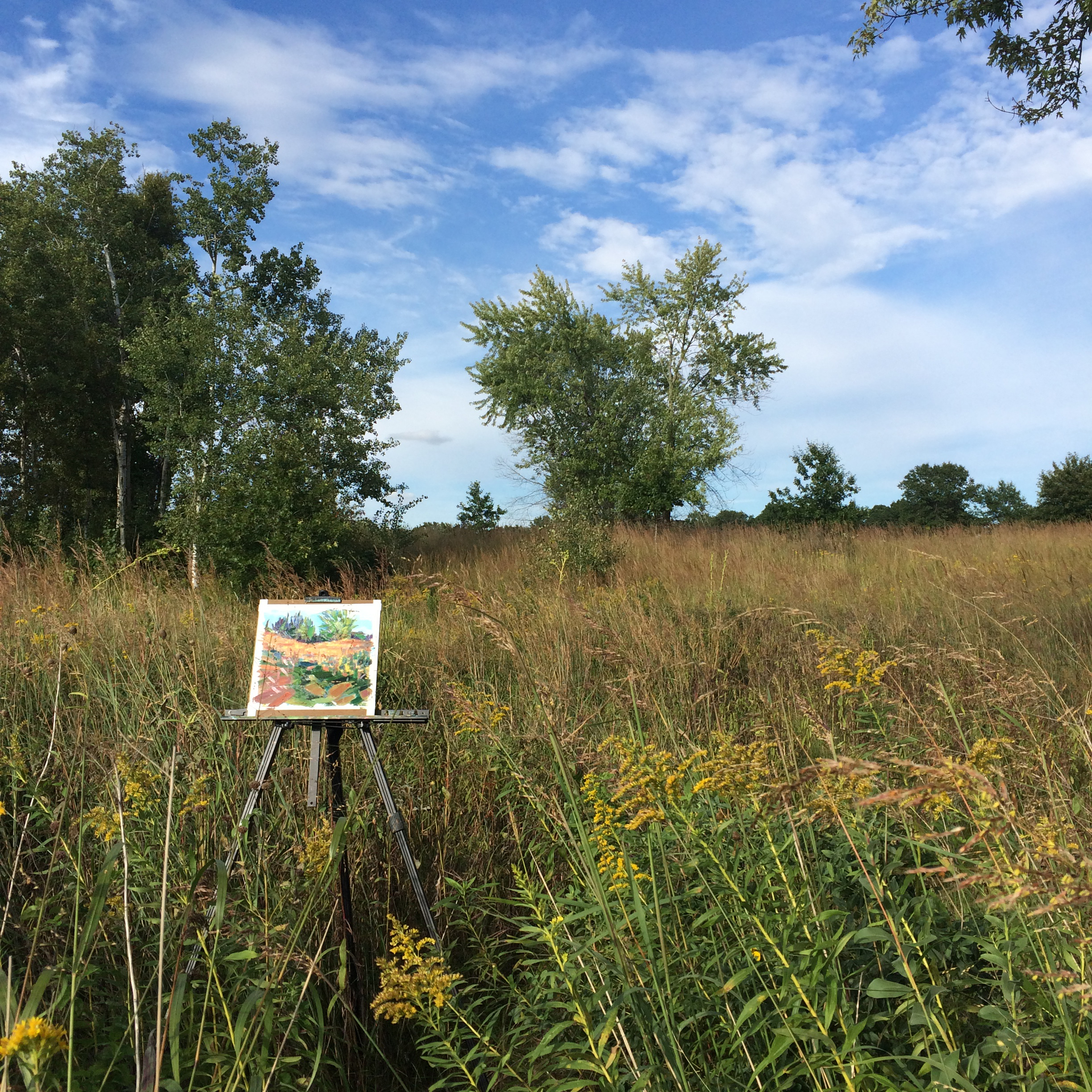 Easel in Field 2.JPG