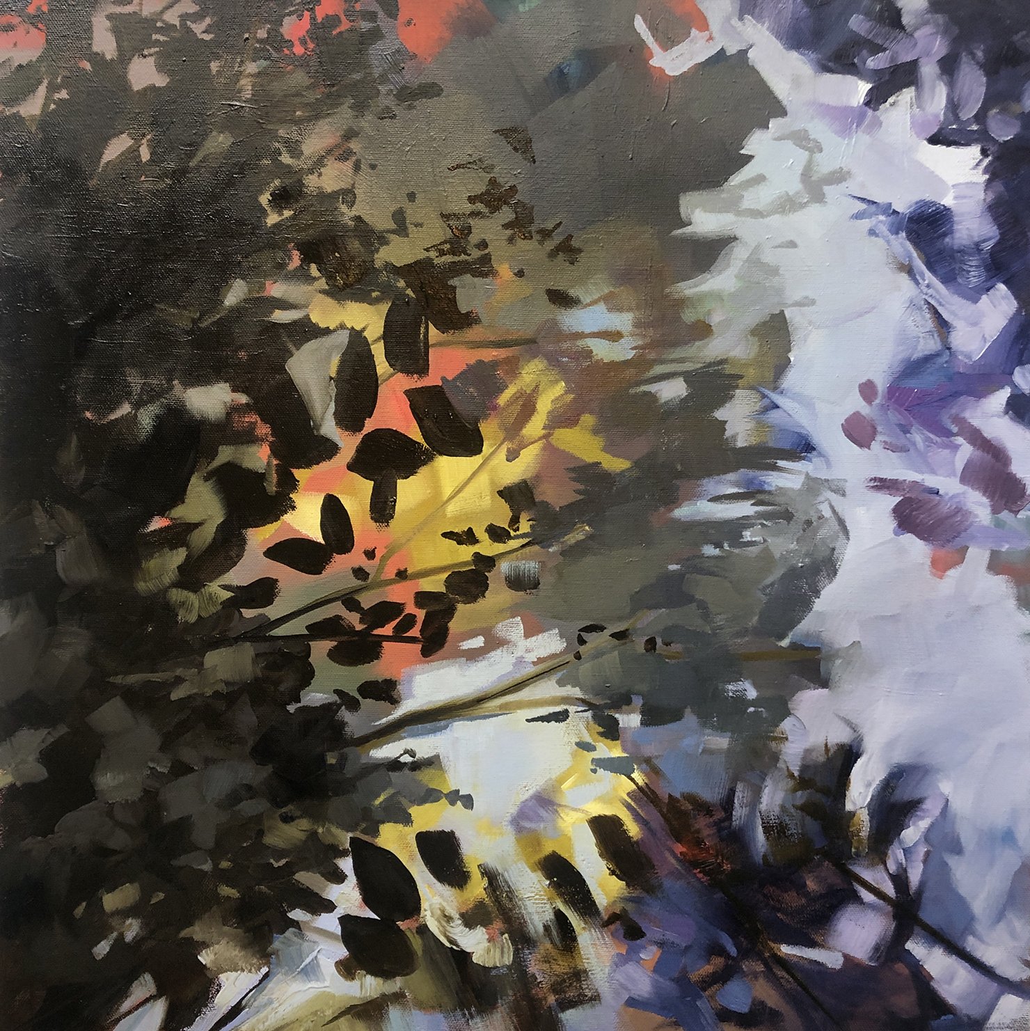 Canopy Study