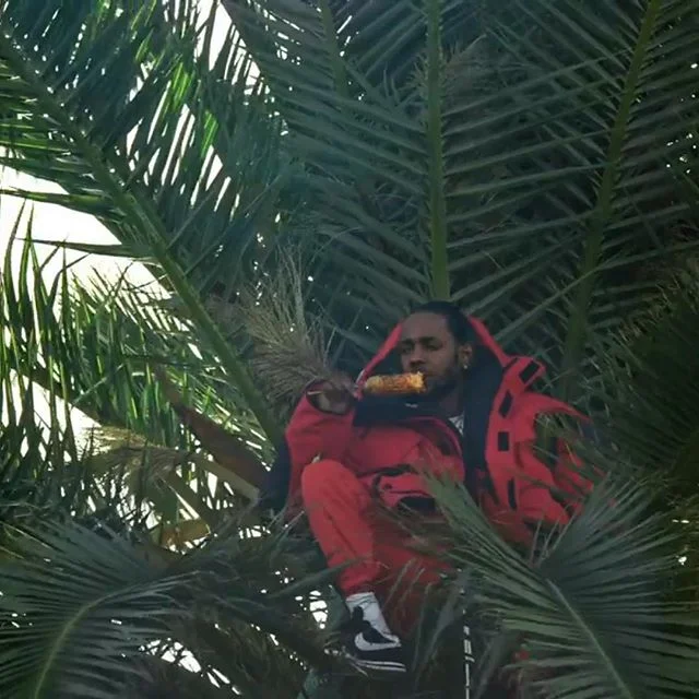 Because kings dead. Rules dead. Forms dead. Do anything. Do everything. Sit in a palm tree eating some corn. Get a haircut. Anything. Go get it. @kendricklamar @jayrock @jackbegert #musicvideo #bestmusicvideosof2018