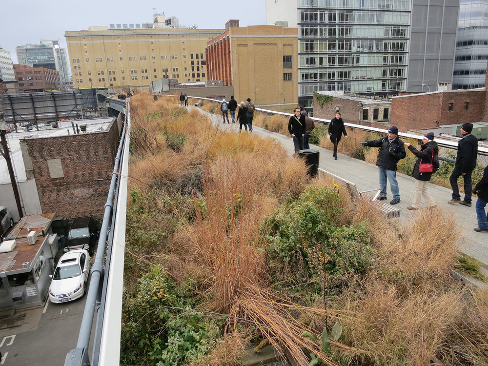 Elevated linear park, The High Line