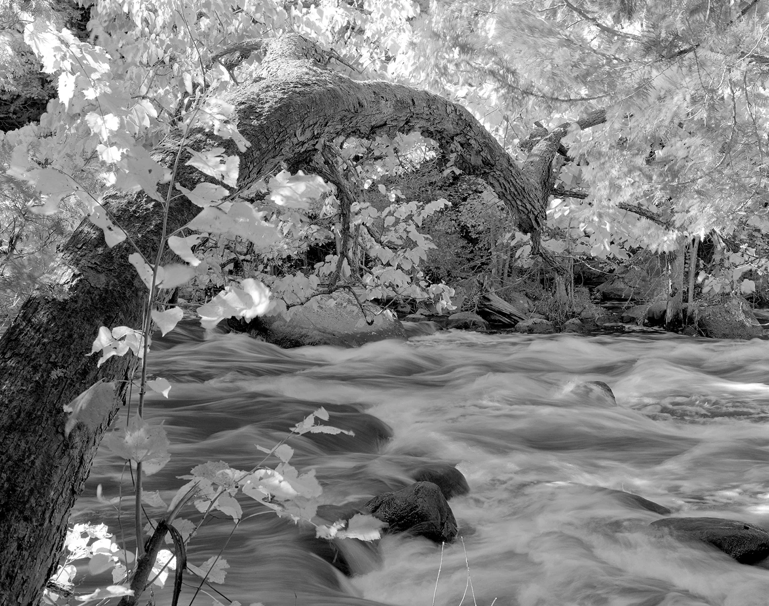 HF_9-30-11-1.jpg