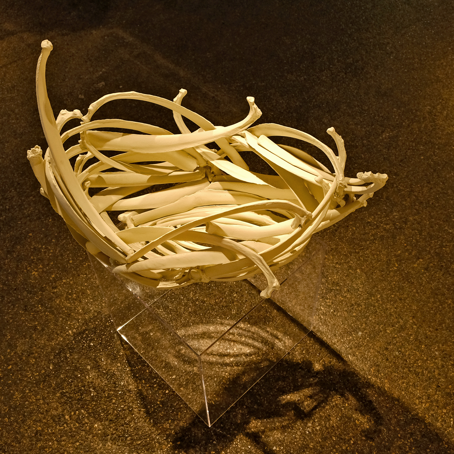 Onofrio_2019_4828.jpg